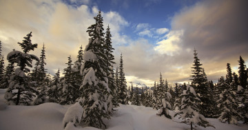 Обои на рабочий стол Национальный парк Банф, закат, зима, Канада, горы, пейзаж, деревья