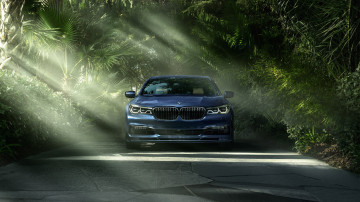 Фото бесплатно BMW, лучи солнца, деревья, ветки, авто, 3840х2160, 4к обои