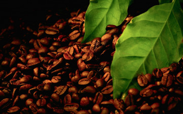 кофе, зерна, листья, энергетический напиток, обои на рабочий стол, Coffee, grain, leaves, energy drink, wallpaper on your desktop