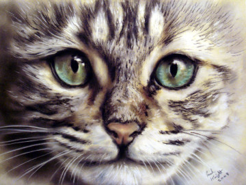 кот, мордочка, животное, картина, искусство, скачать обои живопись, cat, muzzle, pet, painting, art, art wallpaper download
