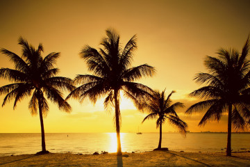 море, пальмы, закат, горизонт, небо, вечер, природа, лето, отдых, тропики