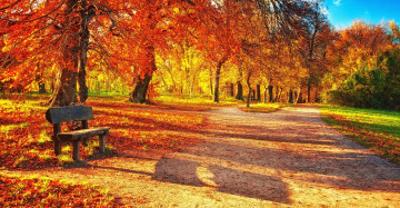 яркая золотая осень, парк, природа, разноцветные деревья, лавочка
