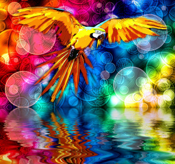 абстракция птица на воде яркая красивая композиция