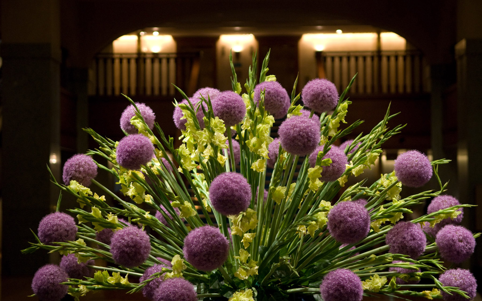 Обои интерьер, букет, гладиолусы, декоративный лук, аллиум, interior, bouquet, gladiolus, decorative bow, allium