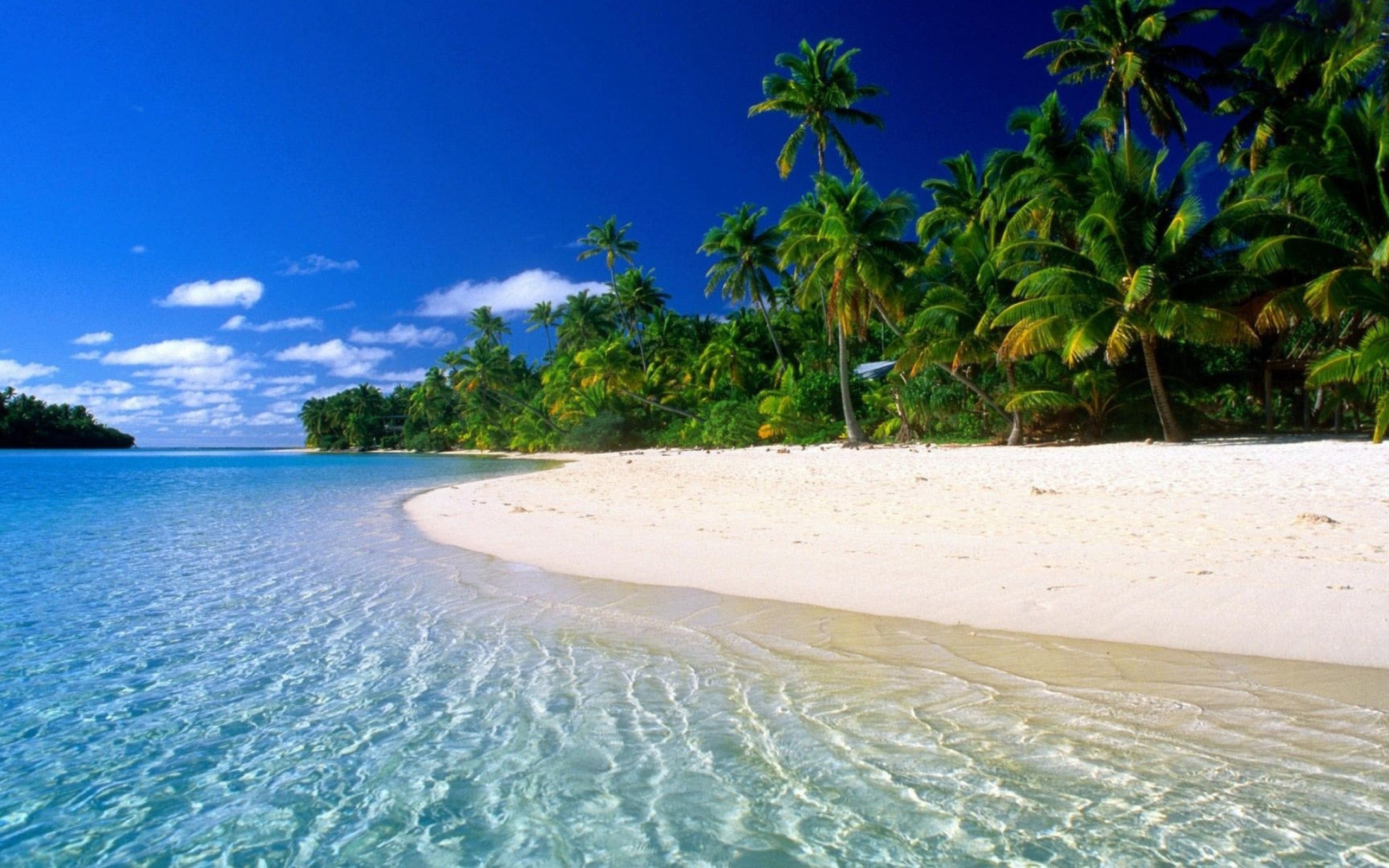 прозрачное море, лазурный берег, пальмы, песок, тропики, пейзаж, лето, отдых, синее небо, mer claire, côte d'azur, palmiers, sable, tropiques, paysage, été, vacances, ciel bleu