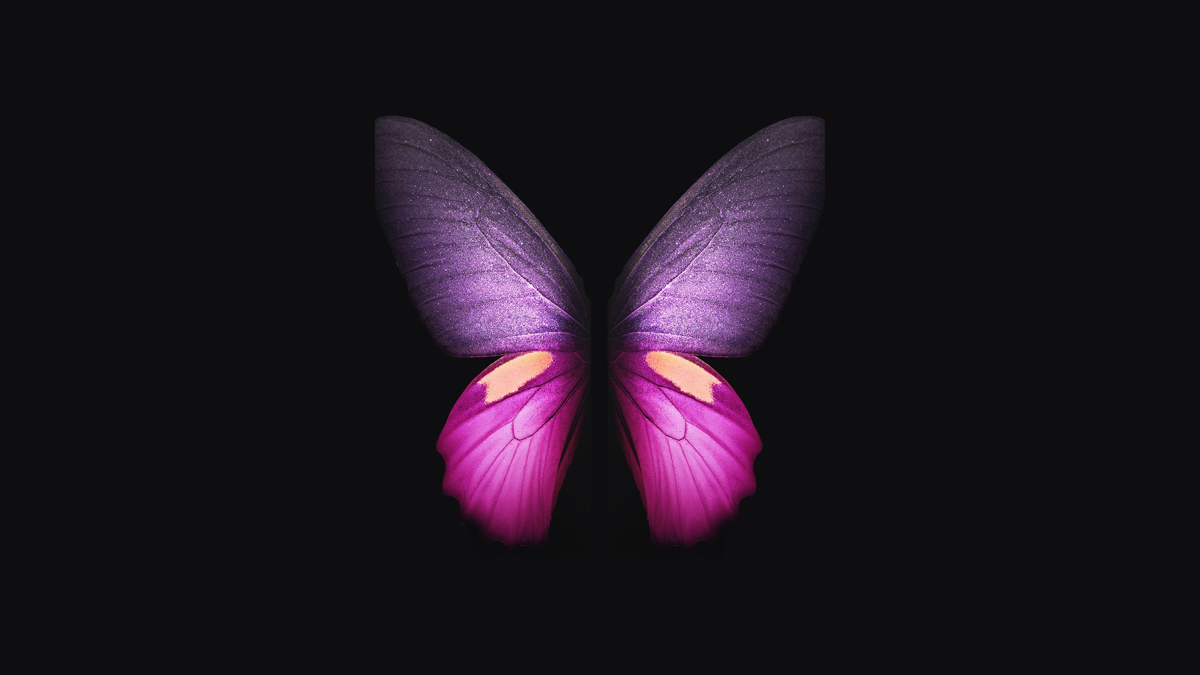 Фото бесплатно обои красивая бабочка, цифровое искусство, чёрный фон, минимализм, крылья, 3840х2160, 4к обои