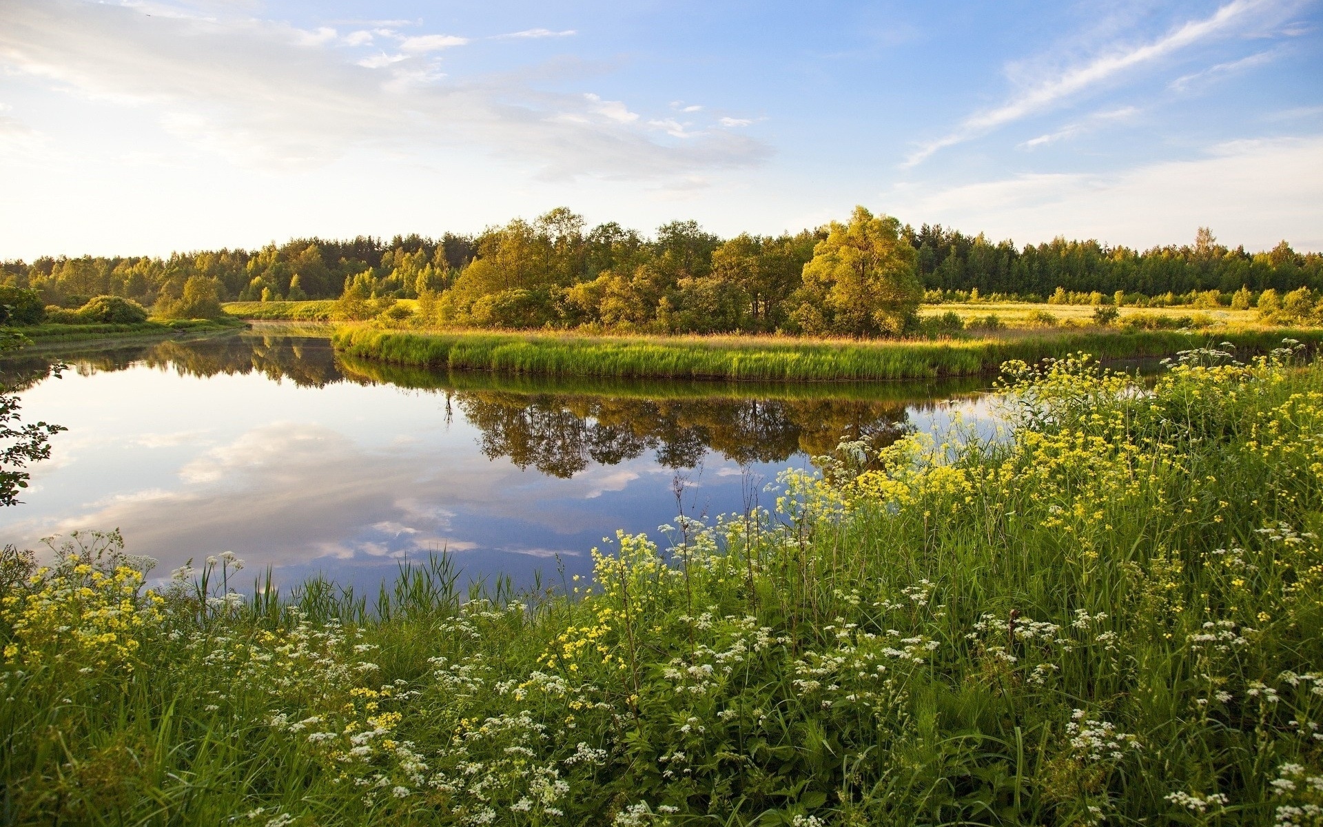 природа, лето, озеро, трава, растения, деревья, небо, очень красивые обои, Nature, summer, lake, grass, plants, trees, sky, very beautiful wallpaper