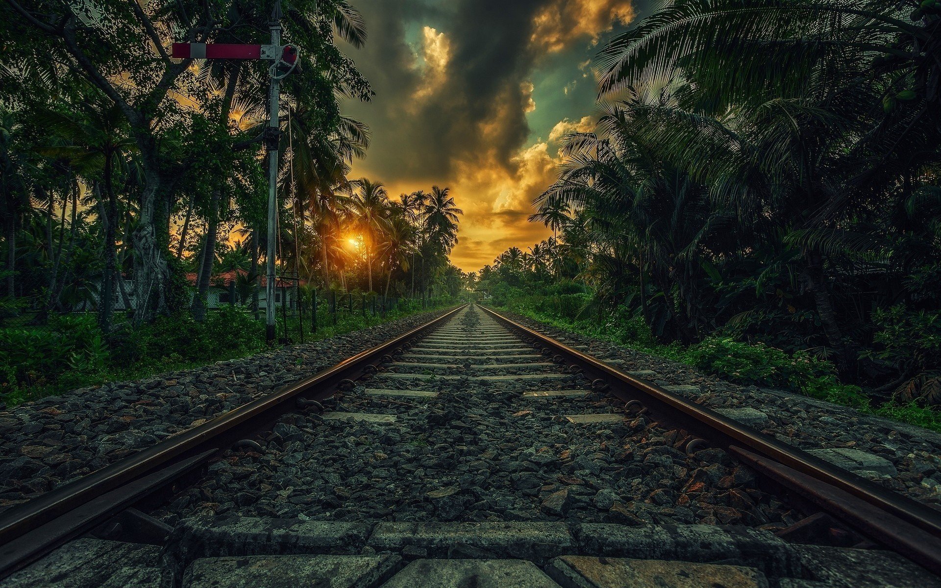 Фото бесплатно железная дорога, рельсы, природа, закат, путешествие, пальмы, тропики