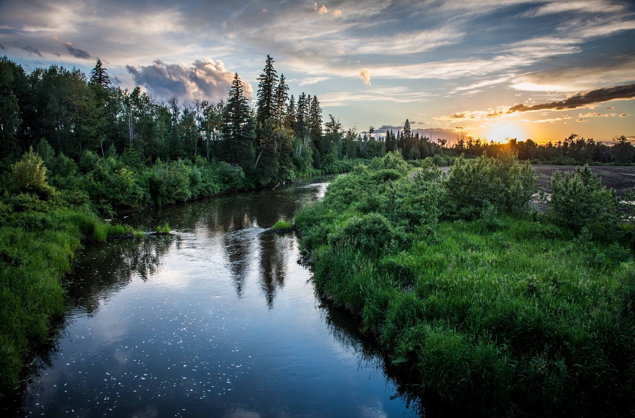 река, берега, закат, небо, природа, трава, растения, деревья, пейзаж, облака, фото, River, shore, sunset, sky, nature, grass, plants, trees, landscape, clouds, photo