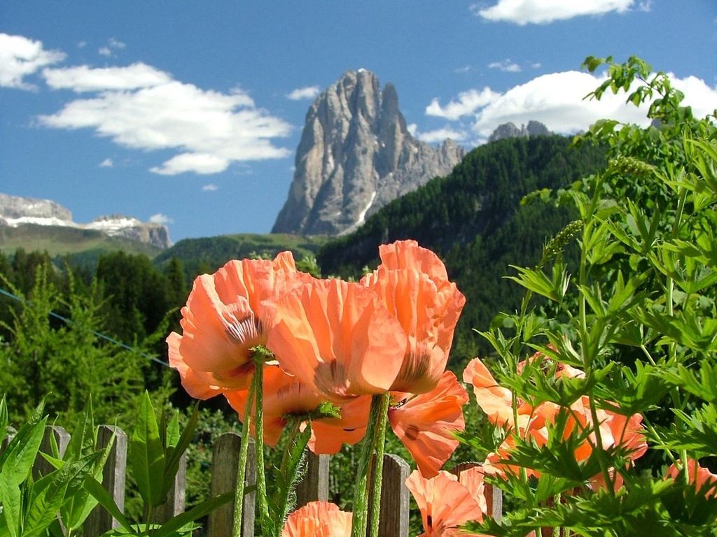 лето, зелень, цветы, горы, облака, красота, обои, summer, greens, flowers, mountains, clouds, beauty, wallpaper