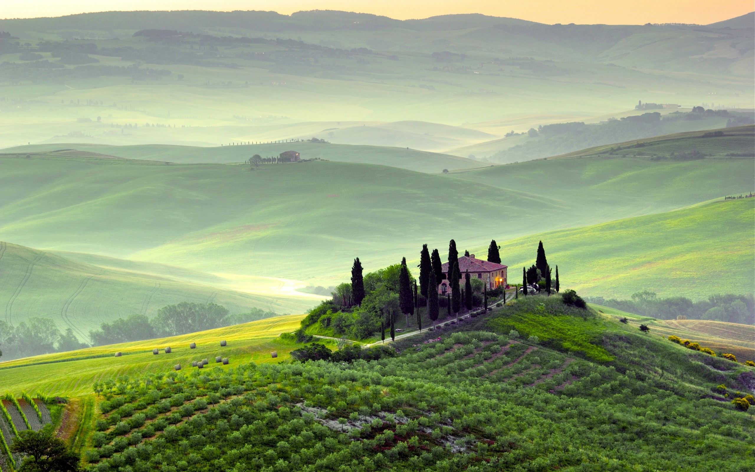 поле, ландшафт, лето, пейзаж, landscape, summer landscape