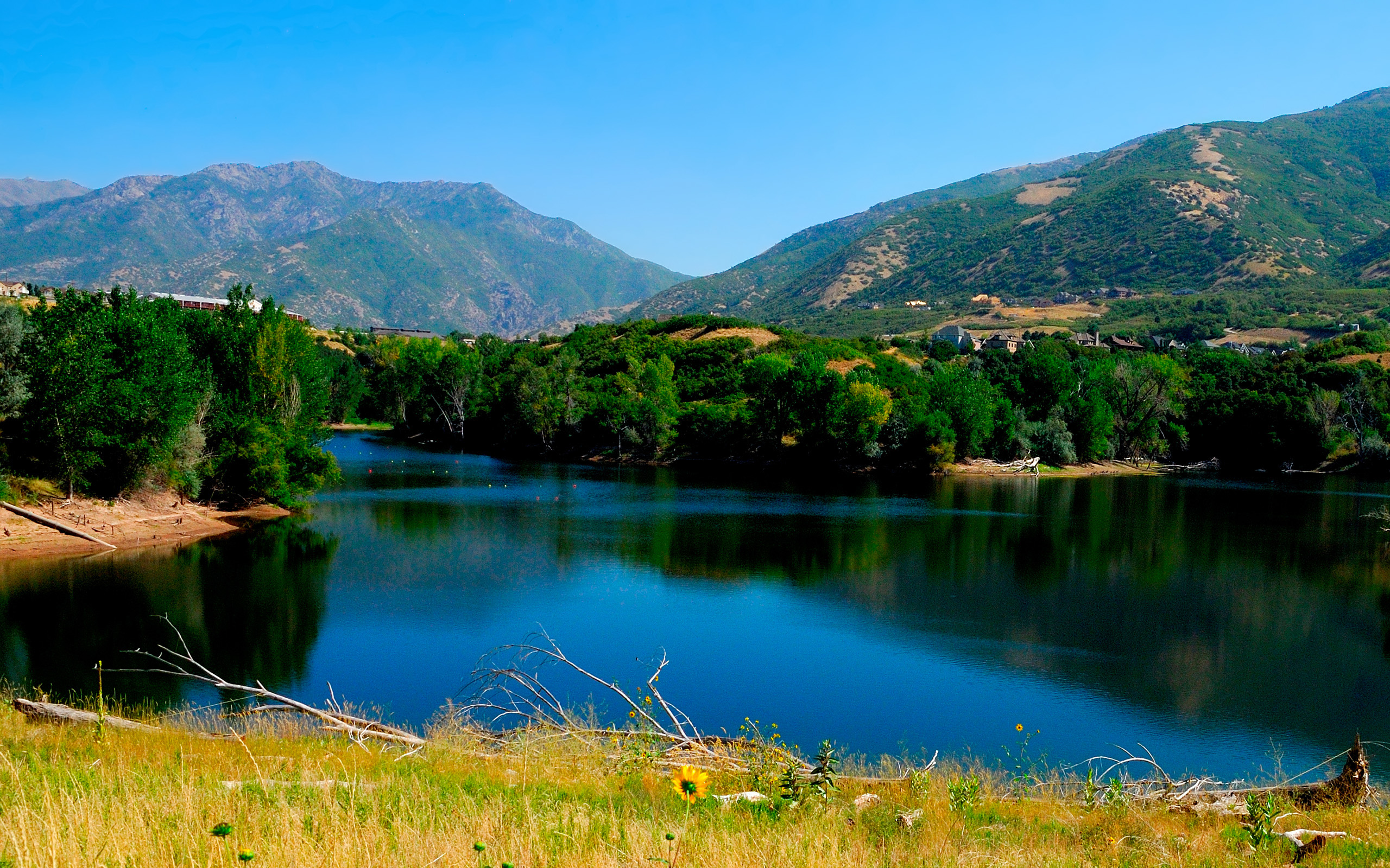 пейзаж, лето, горы, водоем, деревья, растения, красивая природа, фото, Landscape, summer, mountains, pond, trees, plants, beautiful nature, photo