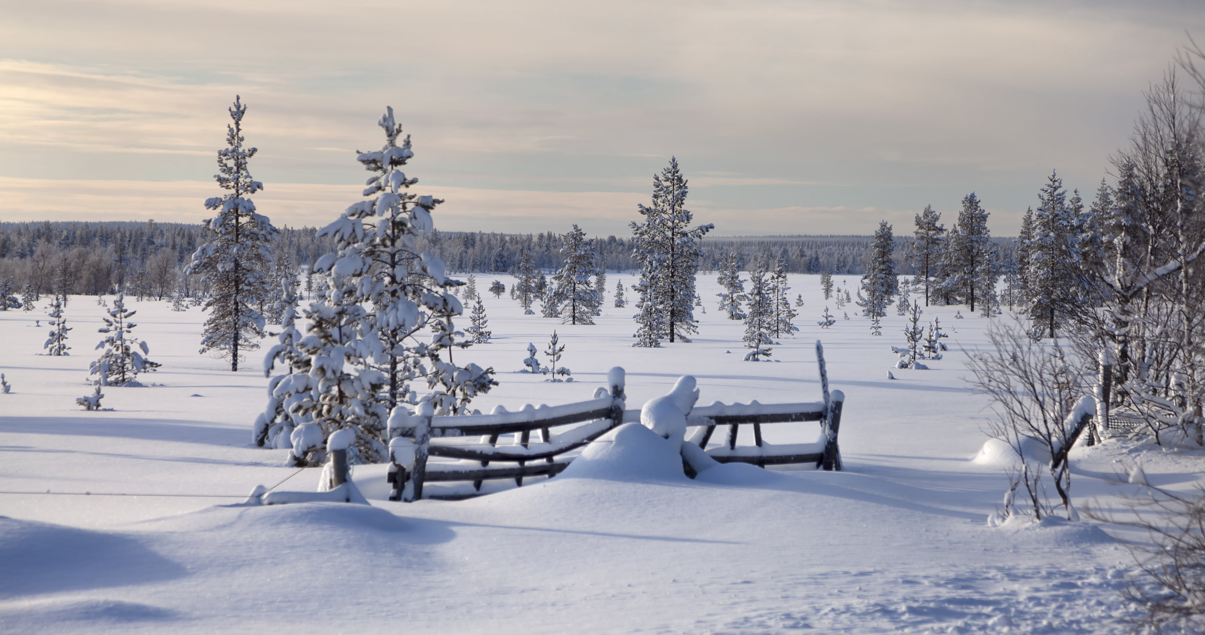 Обои на рабочий стол Lapland, закат, пейзаж, Sunset, снег, зима, Finland, деревья, мороз