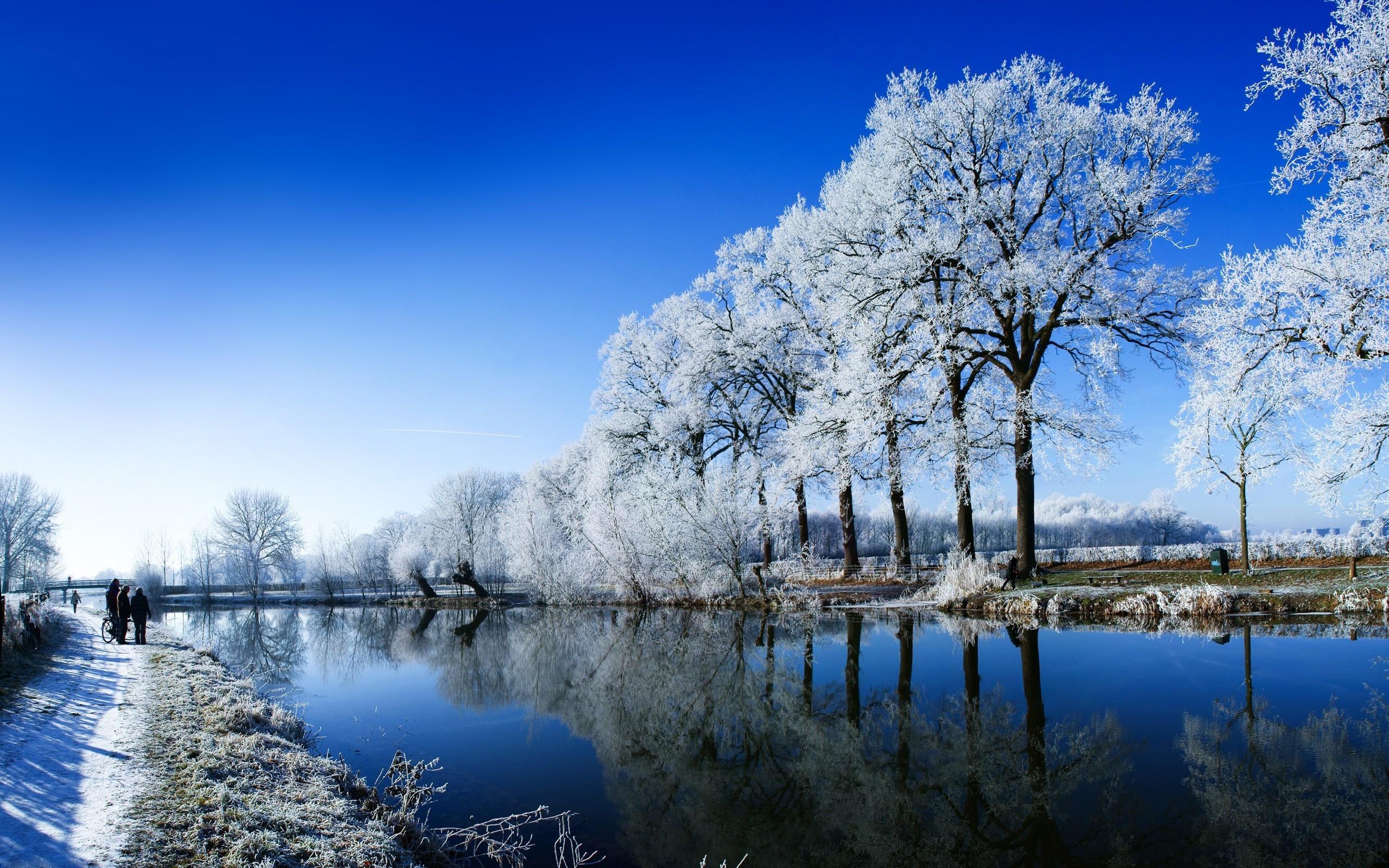 зима, природа, река, деревья, иний, снег, тропинка, фото, Winter, nature, river, trees, winter, snow, path, photo
