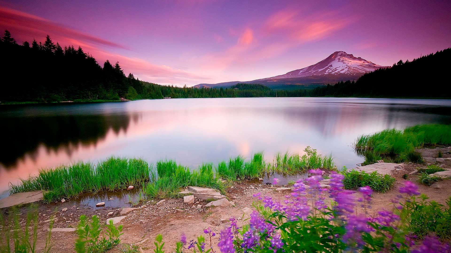 горное озеро, цветы, закат, природа, очень красивые обои для ПК, Mountain lake, flowers, sunset, nature, very beautiful wallpapers for PC