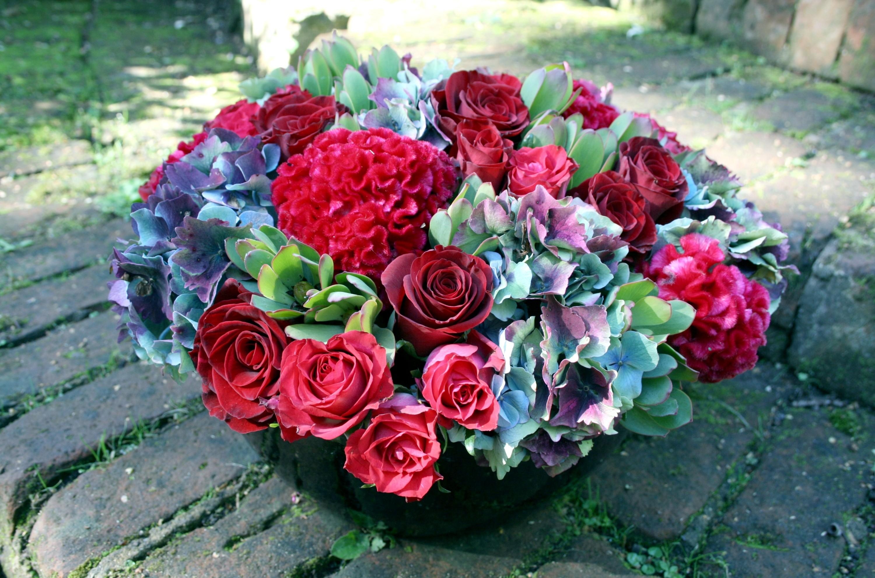Фото бесплатно розы, цветы, букет, клумба