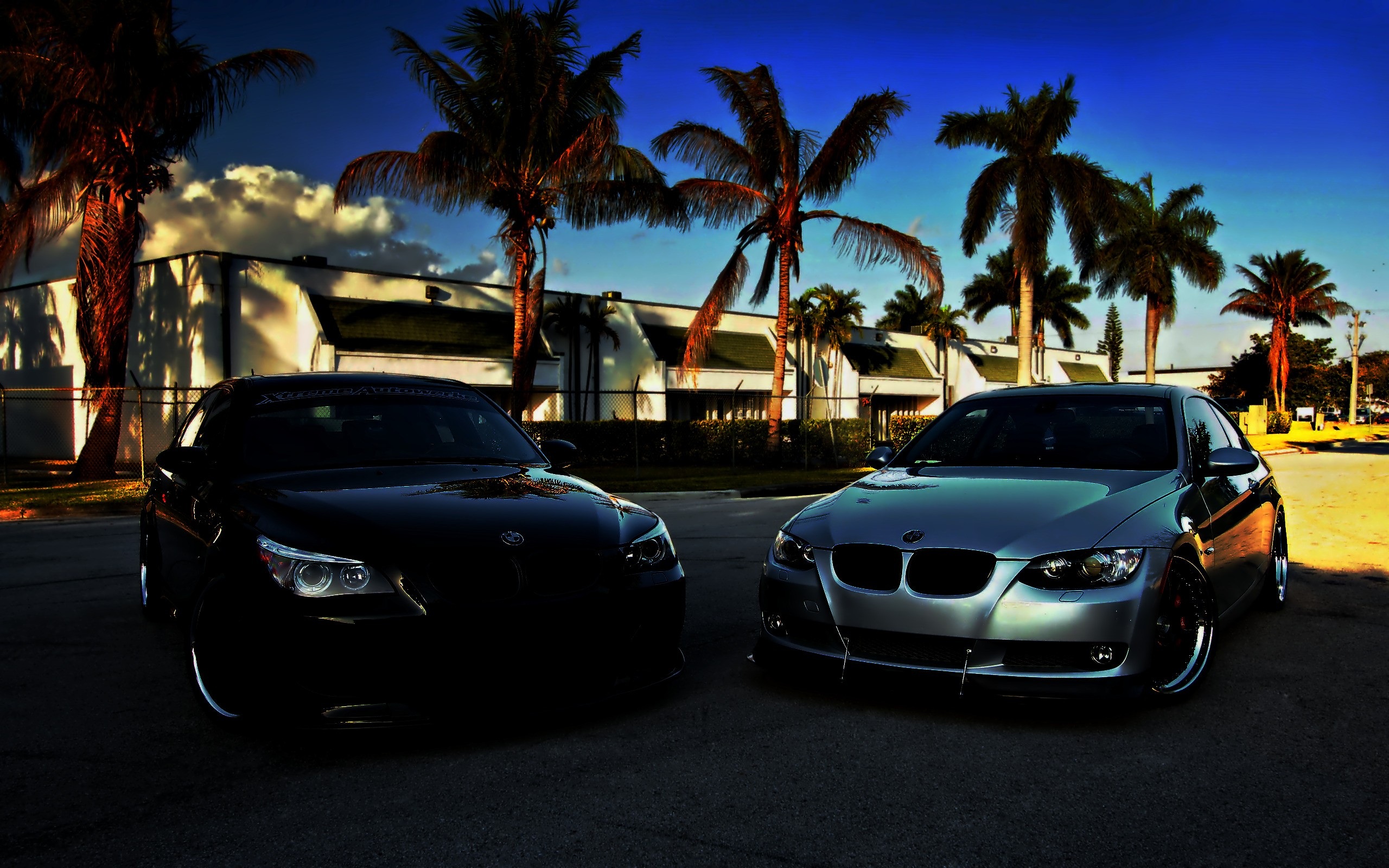 автомобили BMW, черный, цвет металла, пальмы, фото, Cars BMW, black, color of metal, palms, photo