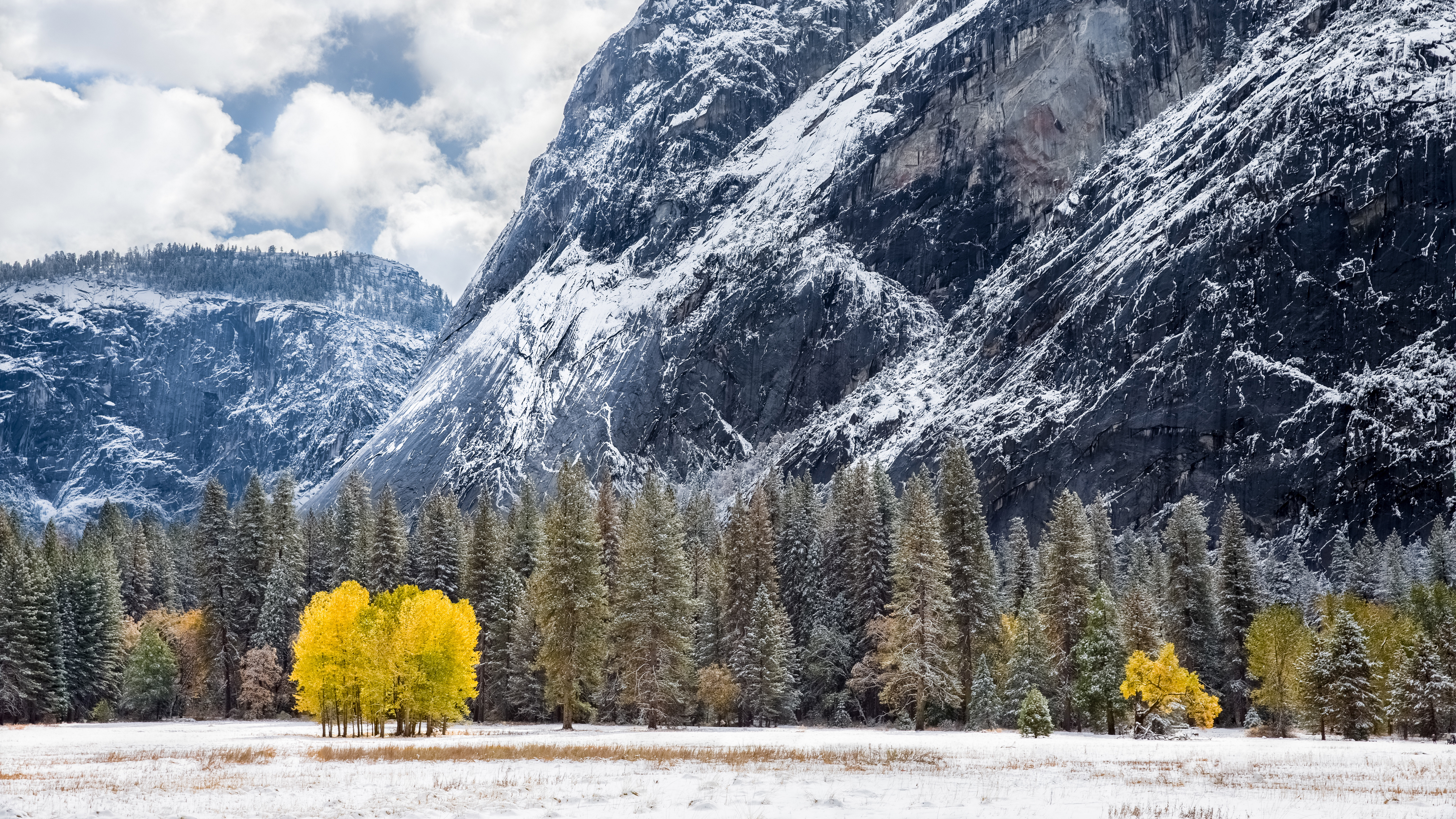 горы, лес, желтые деревья, природа, первый снег, поздняя осень, mountains, forest, yellow trees, nature, the first snow, late autumn