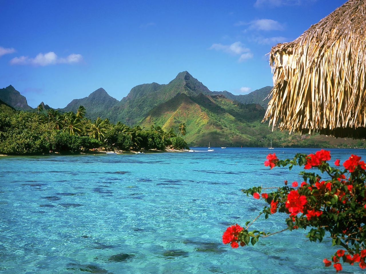 Остров Муреа французская Полинезия