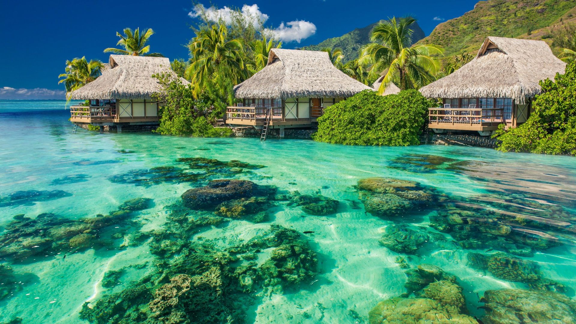 море, природа, Мальдивы, лето, домики, пальмы, камни, sea, nature, Maldives, summer, houses, palm trees, rocks