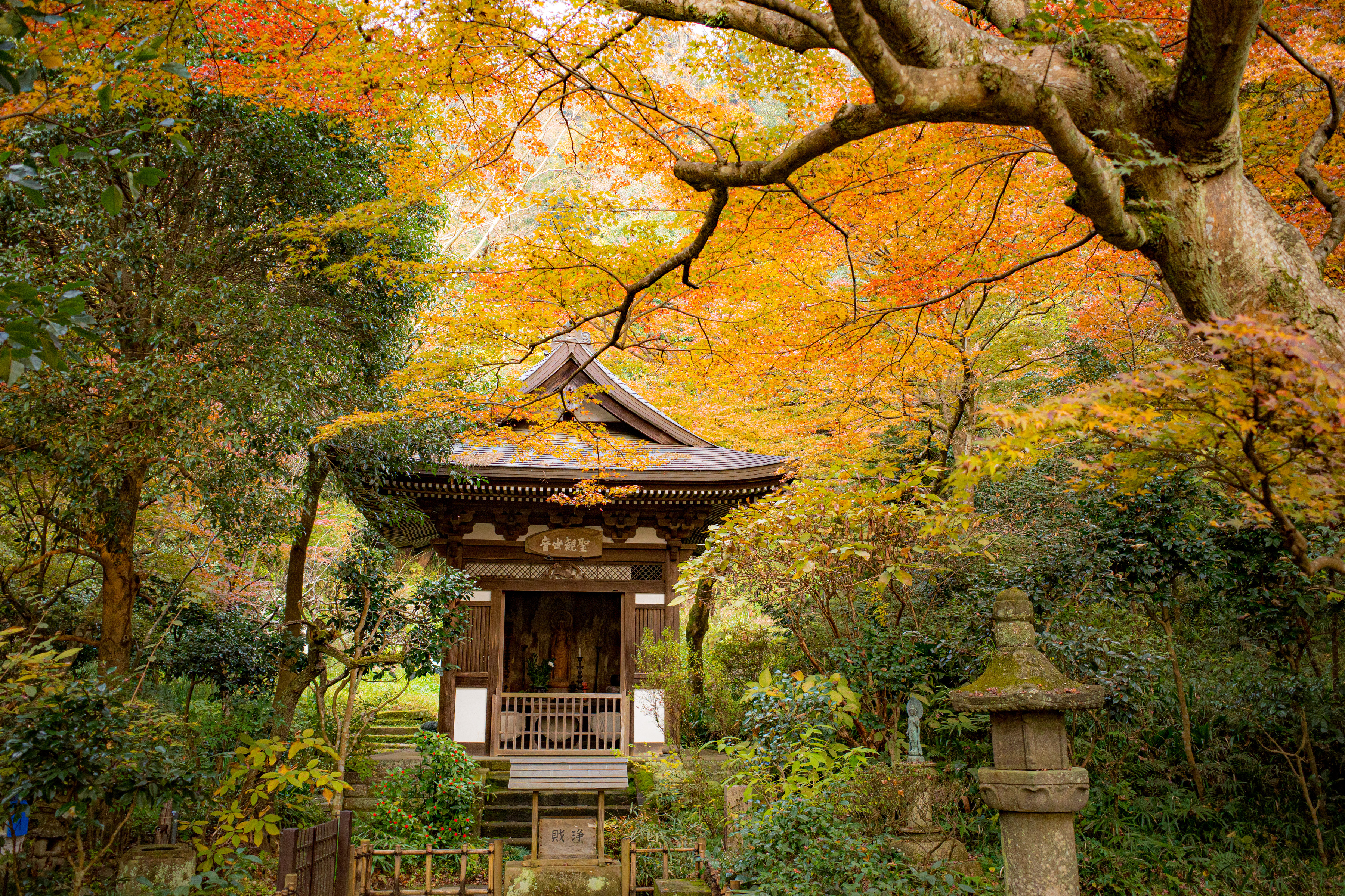 Фото бесплатно Киото, Япония, осенние парки, архитектура
