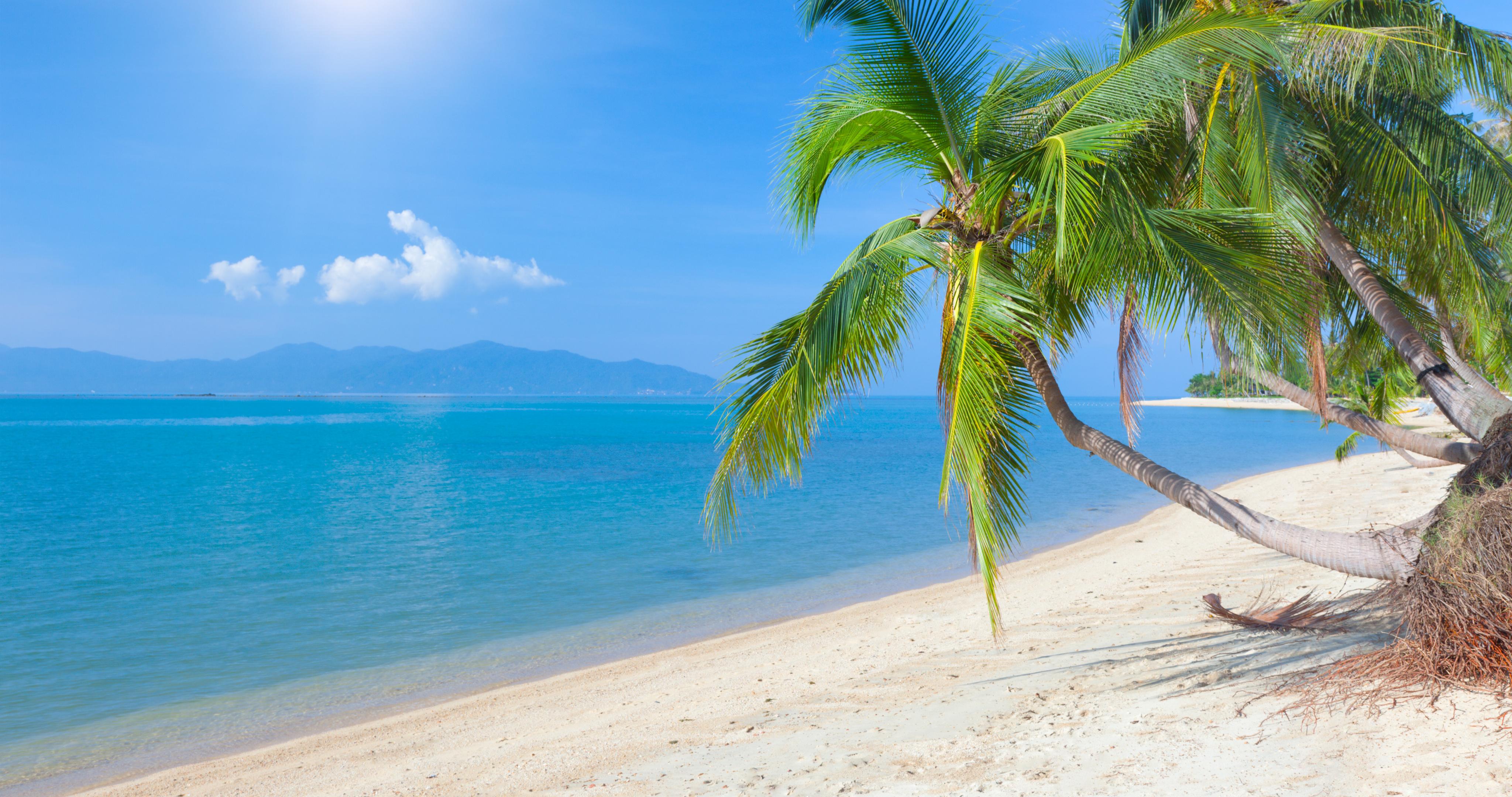 Обои на рабочий стол tropical beach, море, sea, sky, nature, тропический пляж, кокосовой пальмы, clouds, природа, sunlight, облака, небо, landscape, пейзаж, coconut palm, солнце