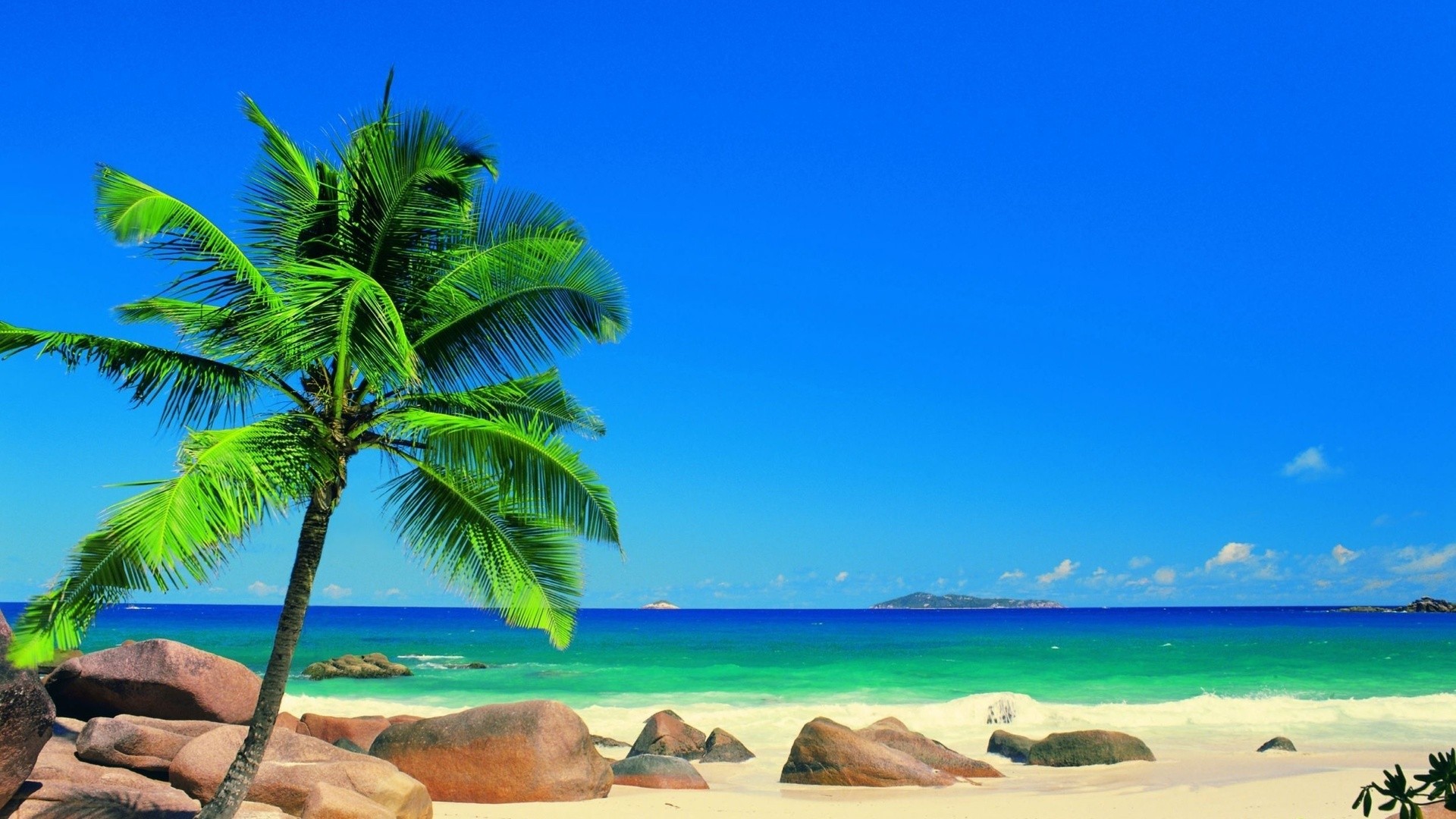 море, пальма, камни, песок, пляж, горизонт, голубое небо, лето, берег
