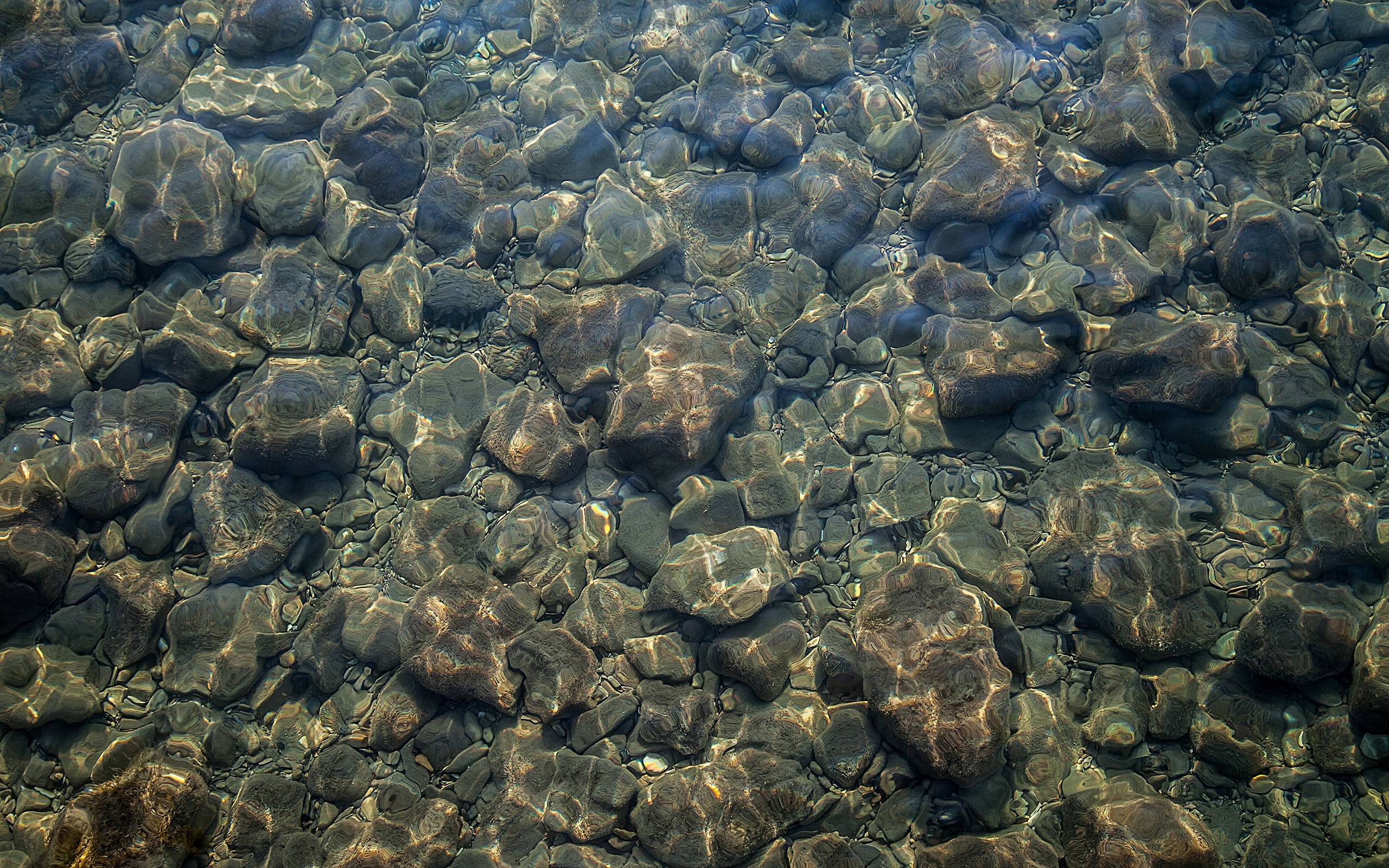 дно моря, камни, прозрачное дно, вода, Bottom of the sea, stones, transparent bottom, water