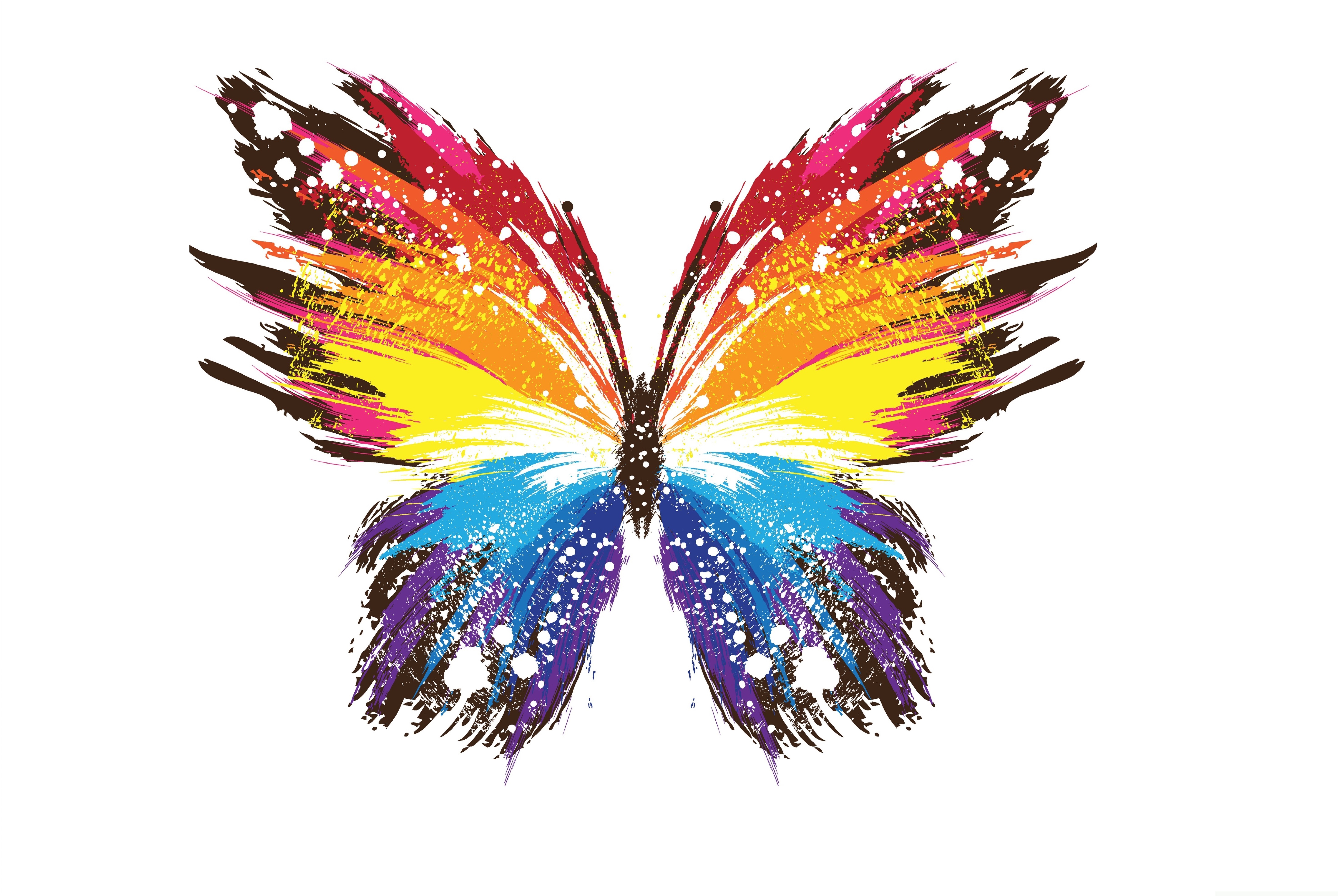 абстракция, бабочка, разноцветная, яркие обои на рабочий стол, abstract, butterfly, colorful, bright wallpaper