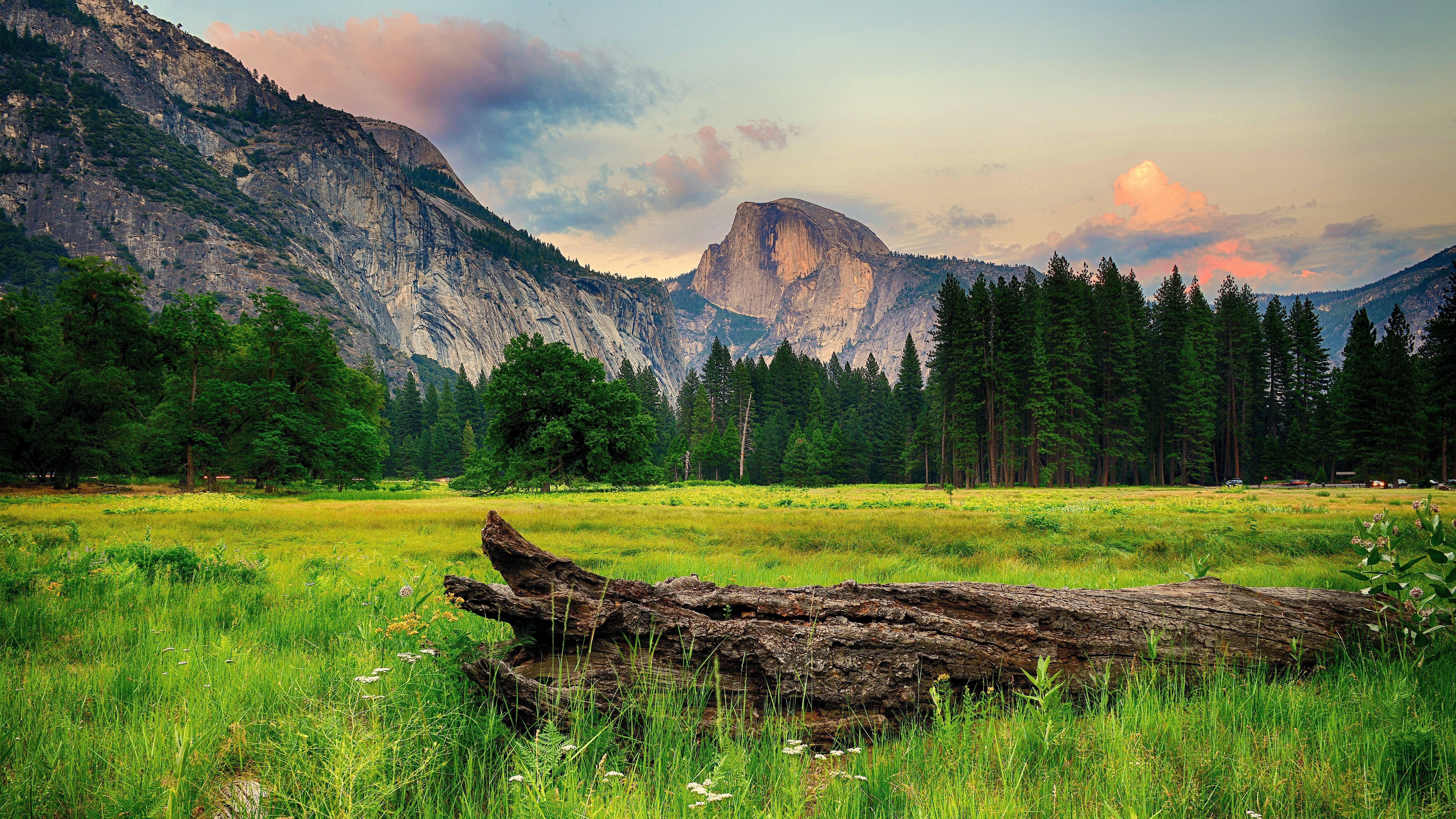 8K wallpaper, pine forest, mountains, glade, grass, landscape, 7680x4320, 8К обои, сосновый лес, горы, поляна, трава, пейзаж