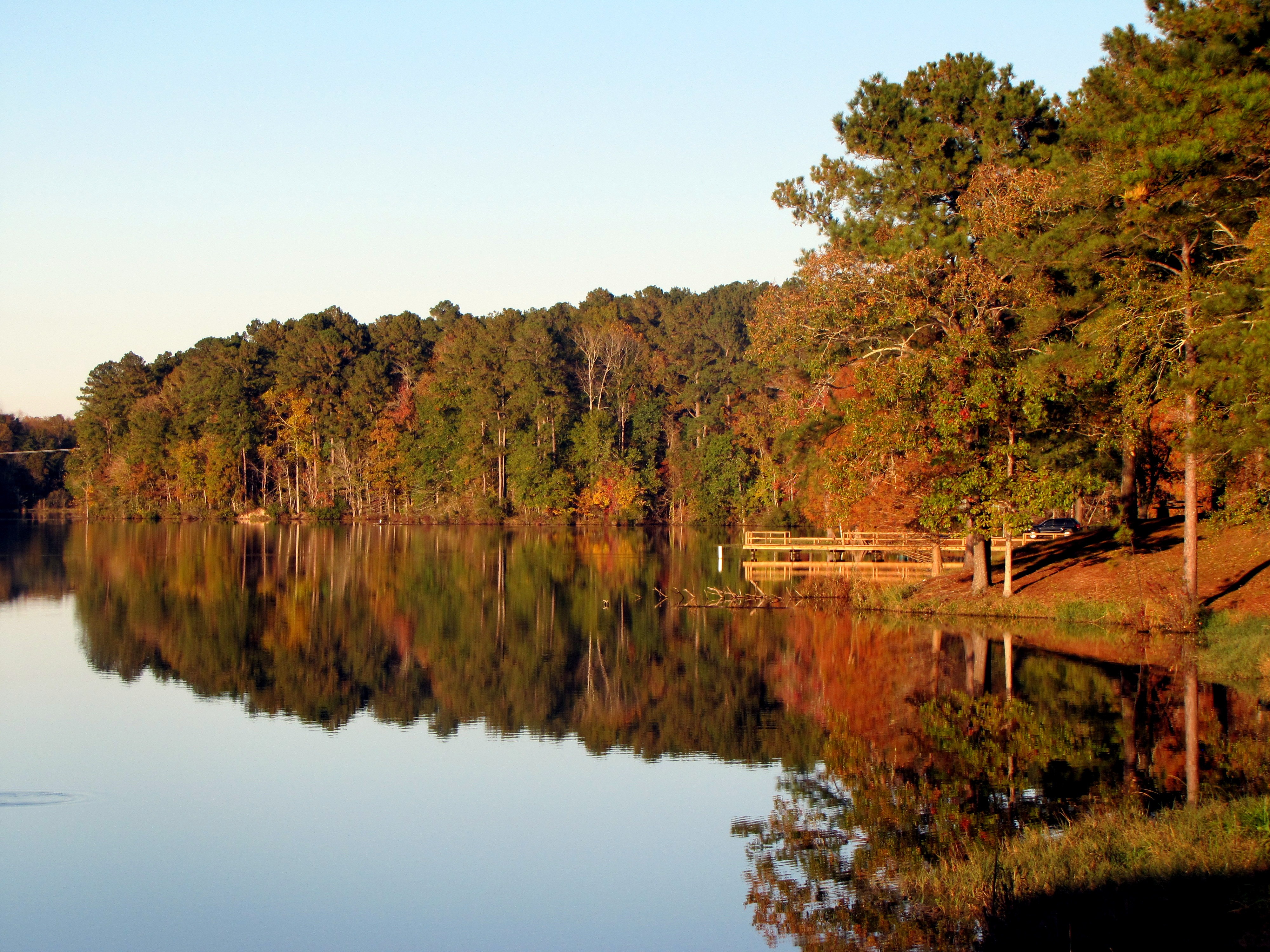 Фото бесплатно древесное растение, озеро, отражение в воде, осень, природа