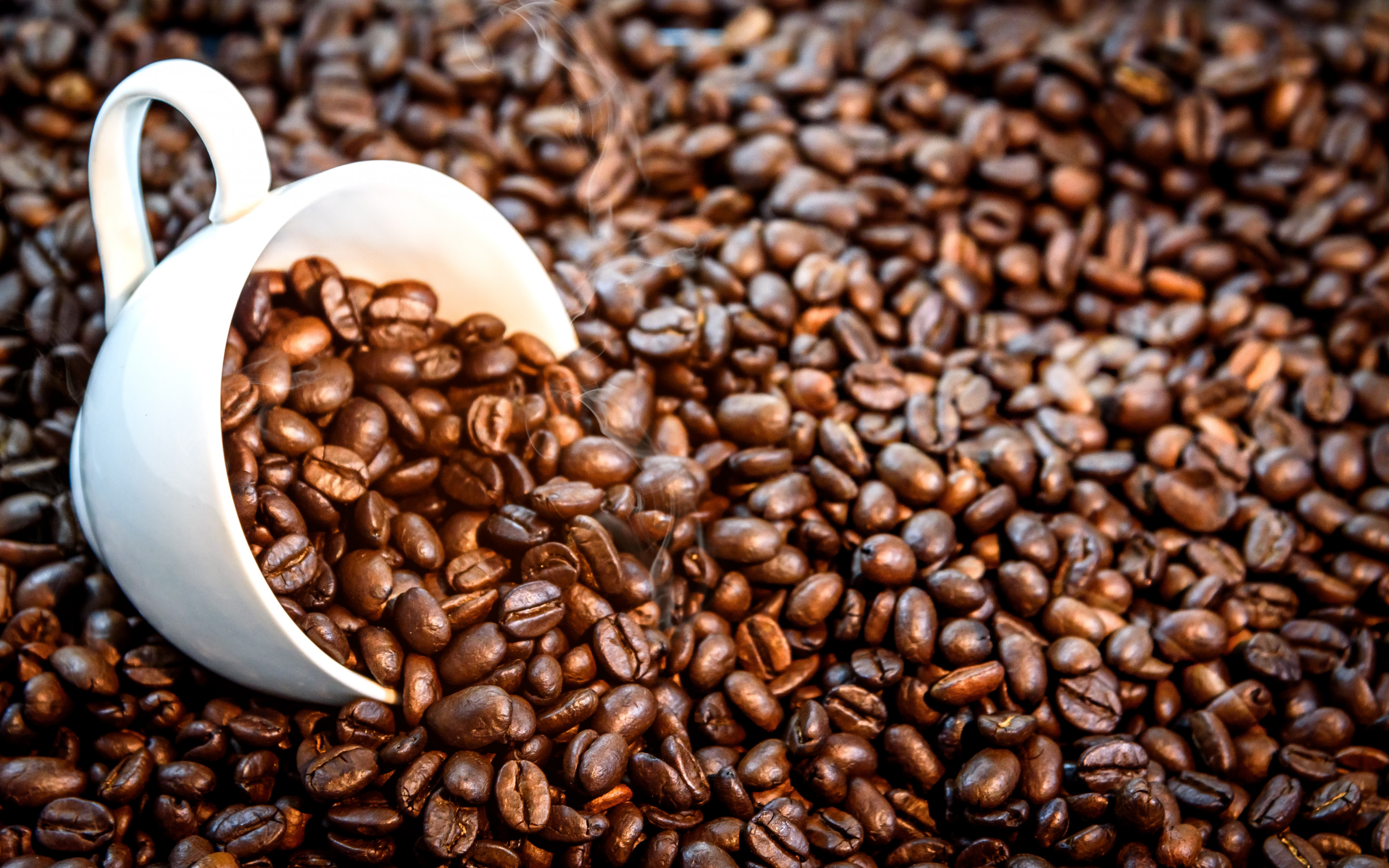 2880х1800, фон, кофе, зерна, белая чашка, текстуры, background, coffee, grain, white cup, texture