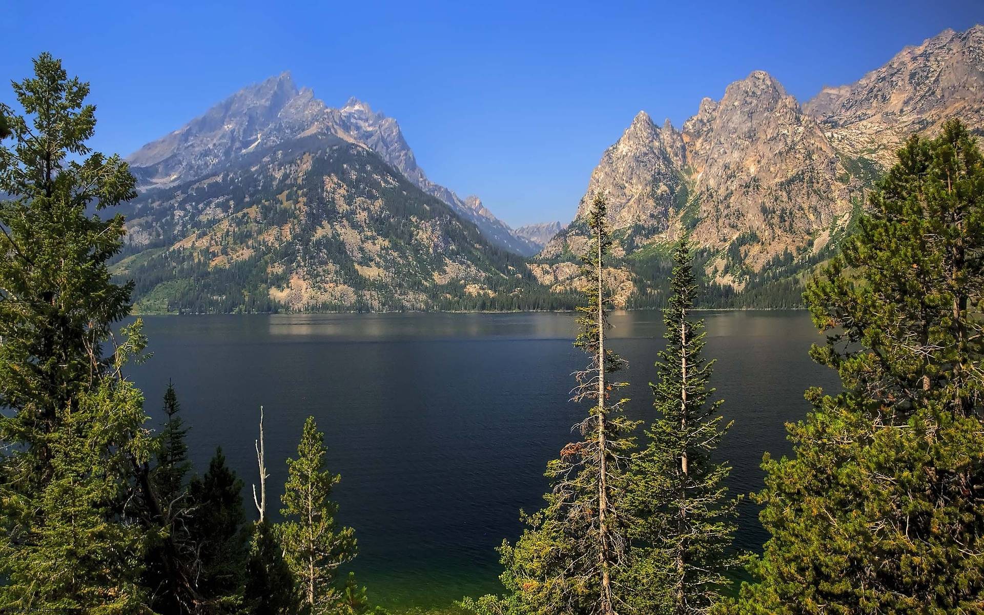 Фото бесплатно озеро, лето, горы, деревья