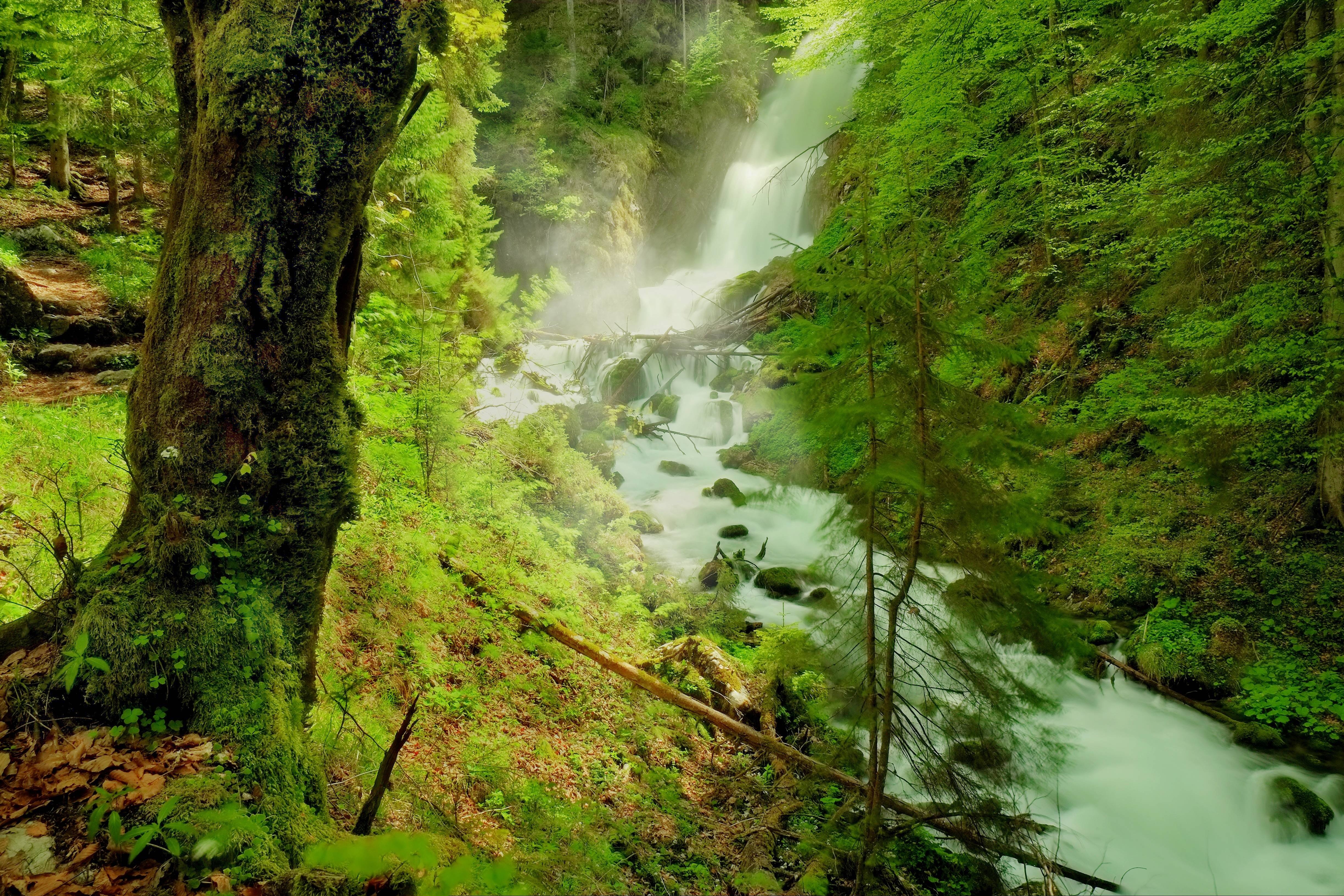 Фото бесплатно водопад, лето, лес, мох, зелень