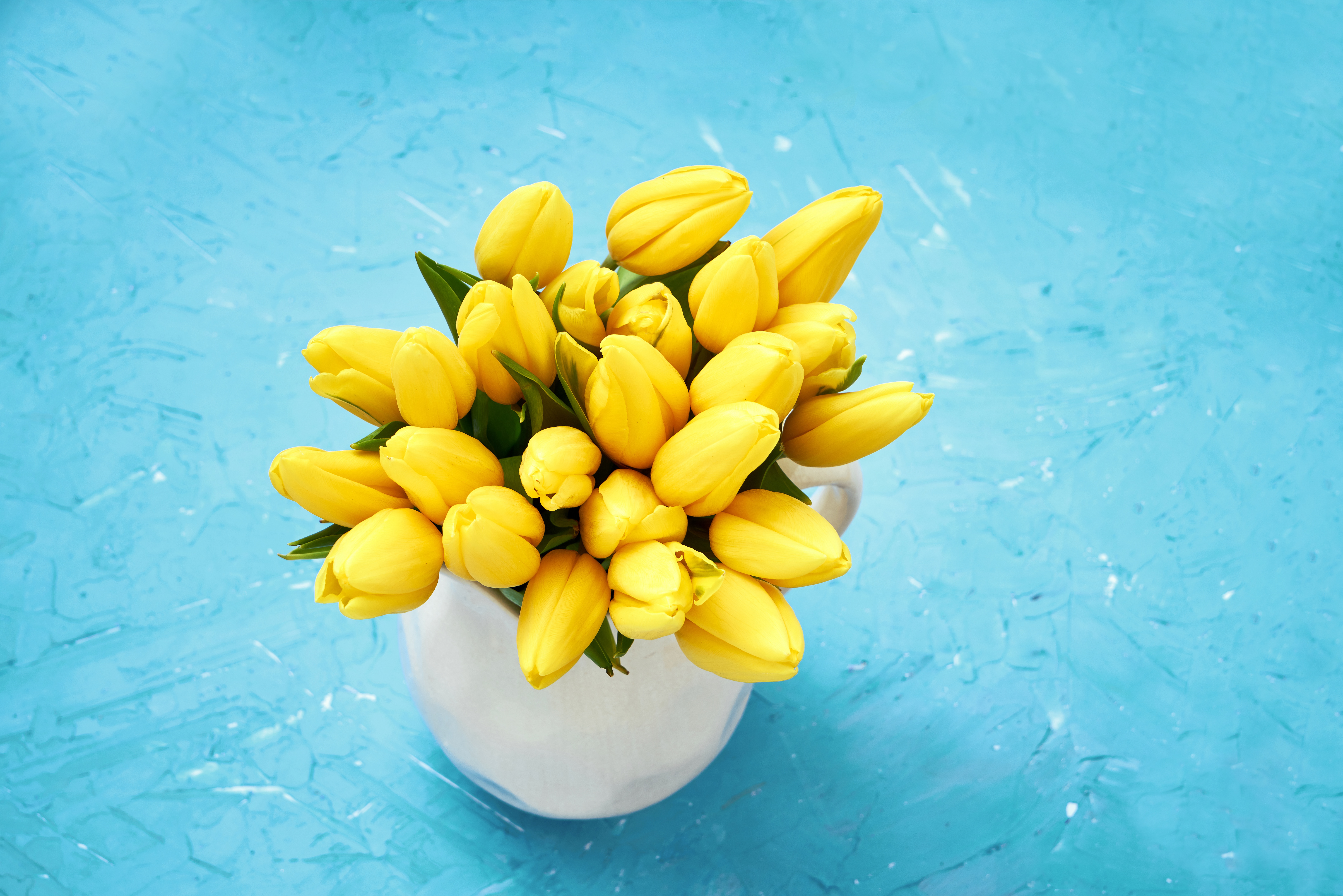 8К обои, желтые тюльпаны, голубой фон, букет, ваза, бутоны, весенние цветы, 8K wallpaper, yellow tulips, blue background, bouquet, vase, buds, spring flowers