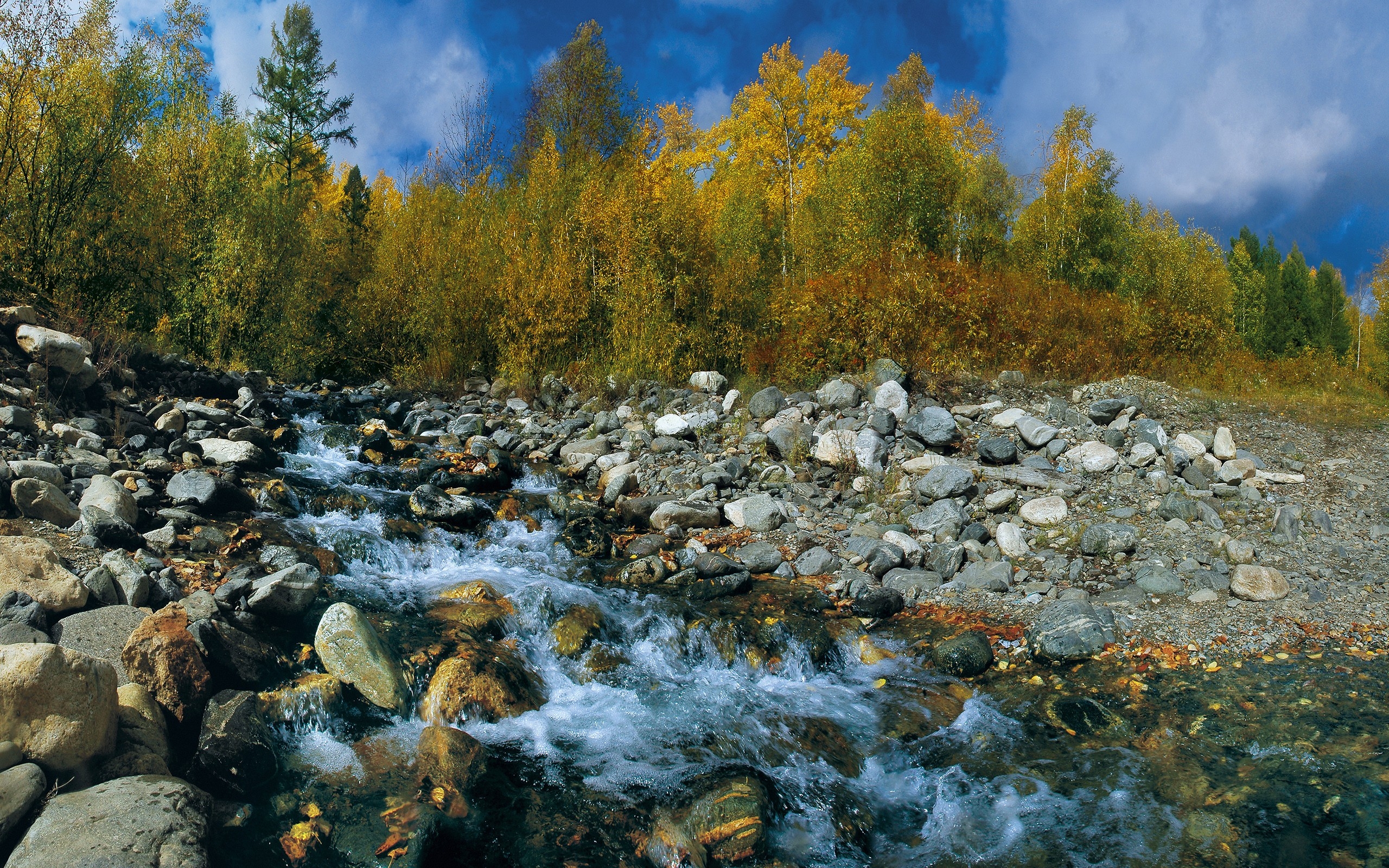 пейзаж, река, камни, деревья, природа