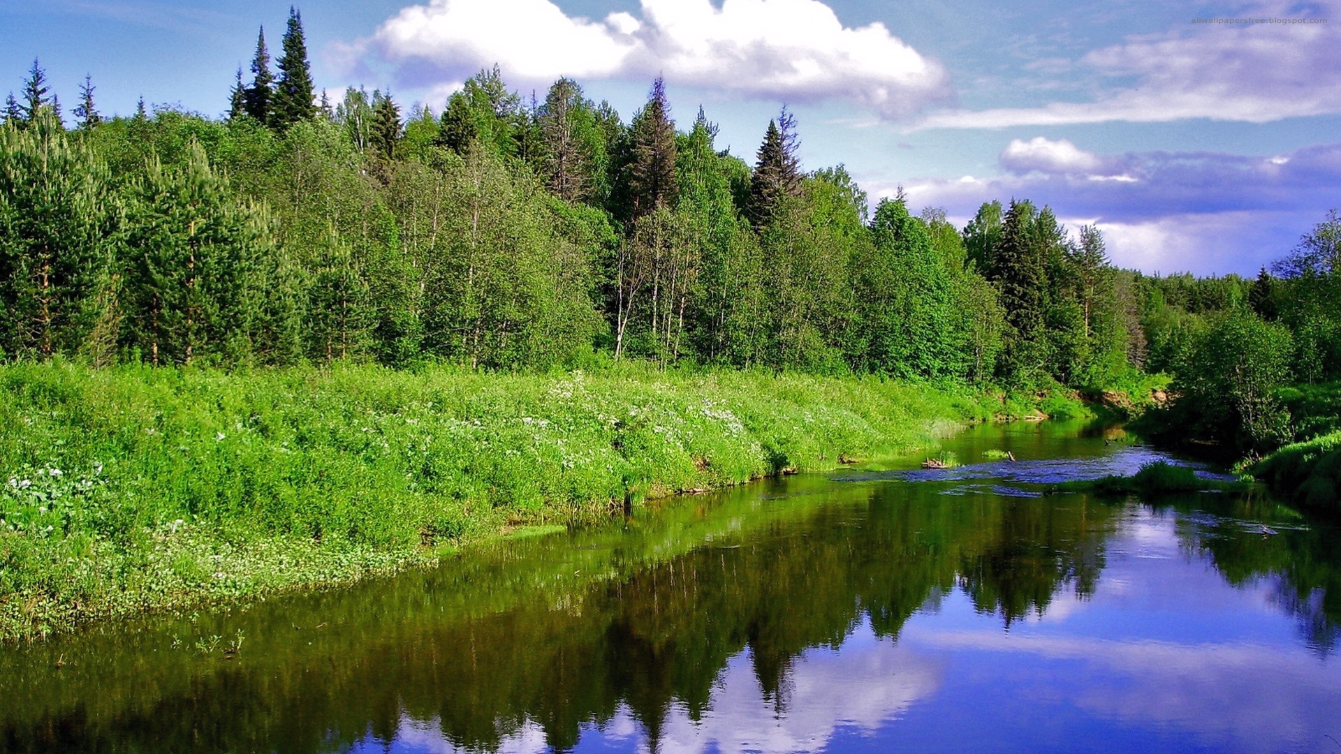 природа, лес, река, лето, красивый пейзаж