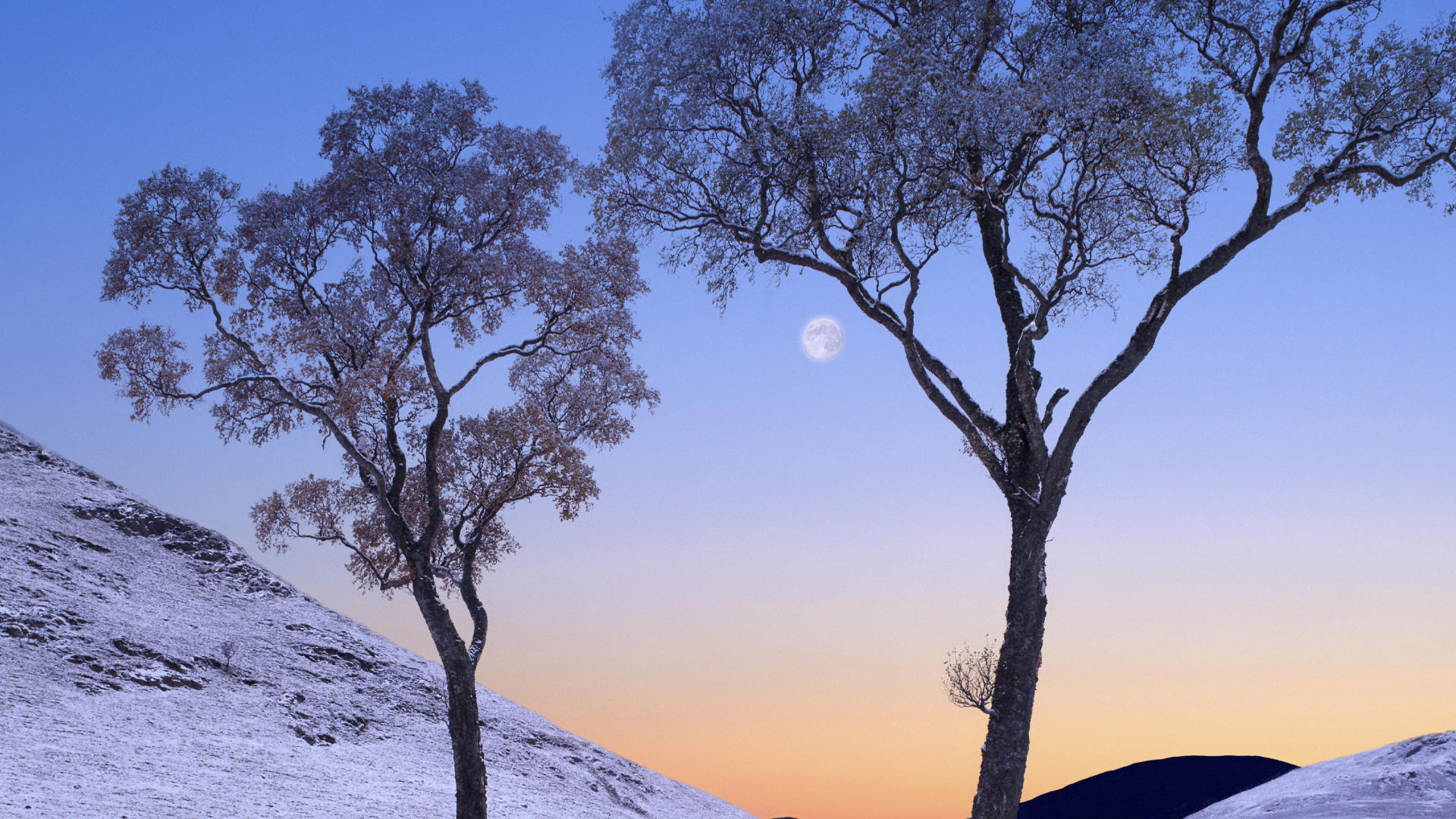 Wintertime In Glen Loch, United Kingdom, зима, деревья, снег, природа