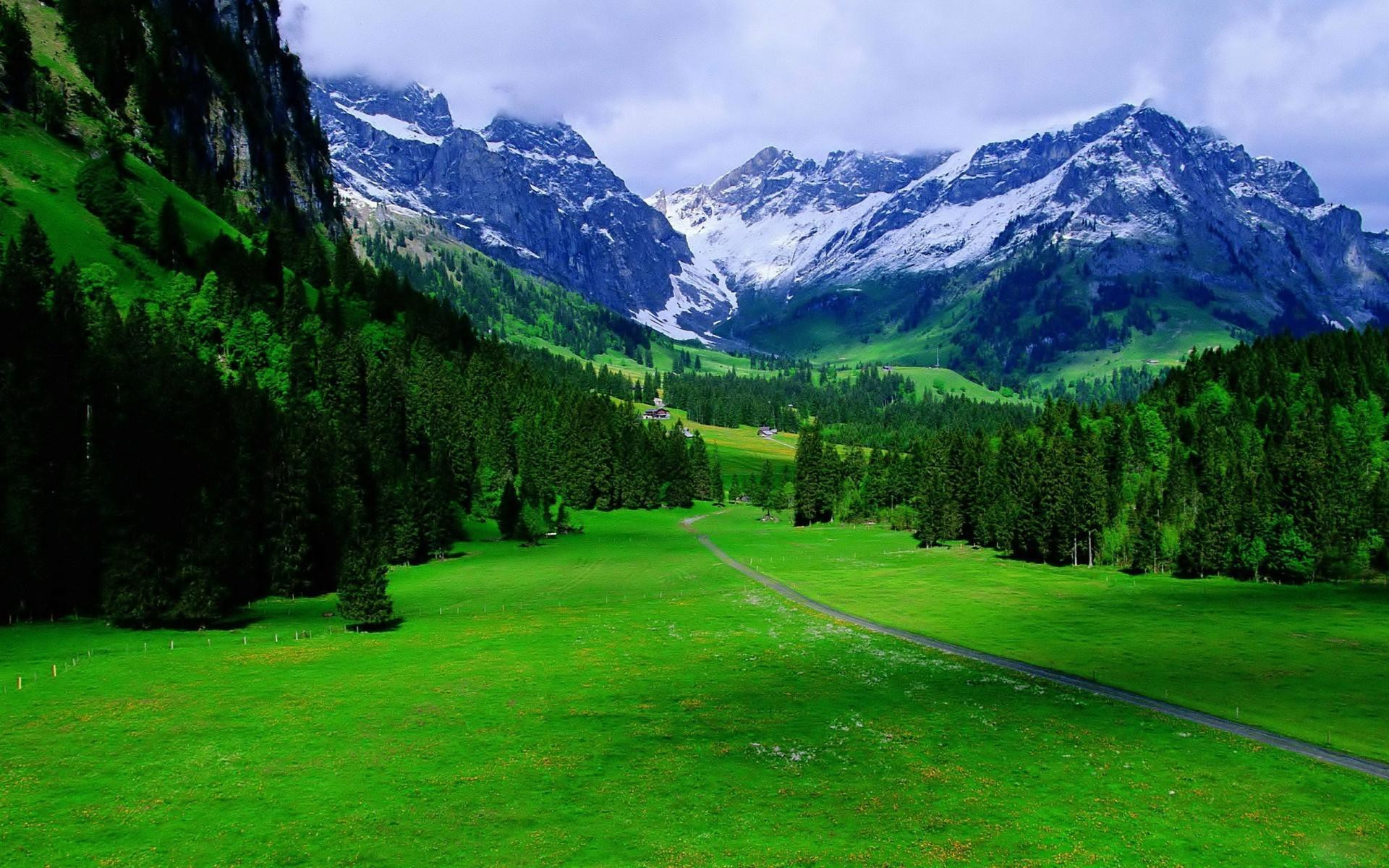 mountains, forest, green grass, beautiful landscape, path, nature, горы, лес, зеленая трава, красивый пейзаж, тропинка, природа