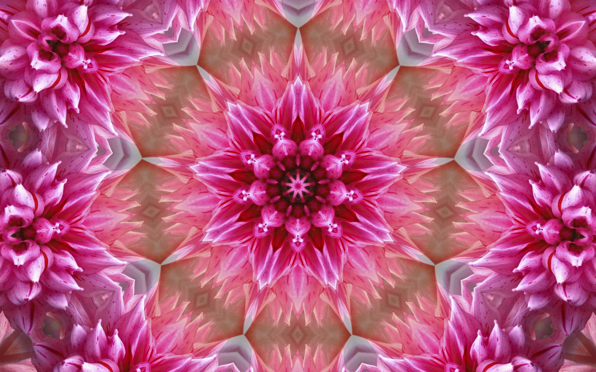 1920х1200 графика абстракция розовые узоры в виде цветов
