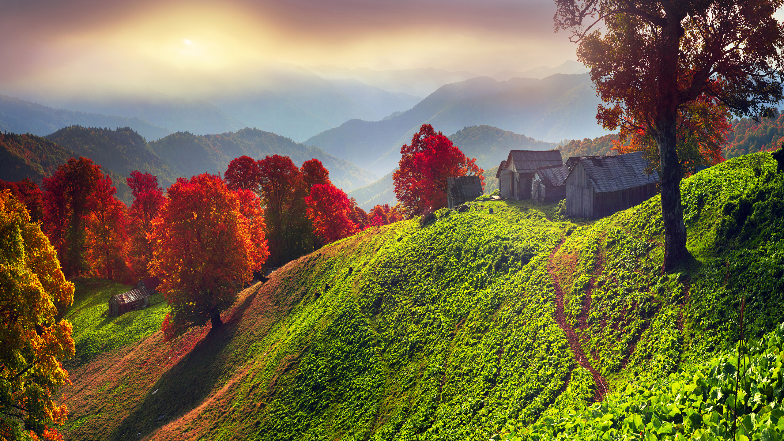 Autumn in the Carpathians, Ukraine, mountains, landscape, trees, осень в Карпатах, Украина, горы, пейзаж, деревья