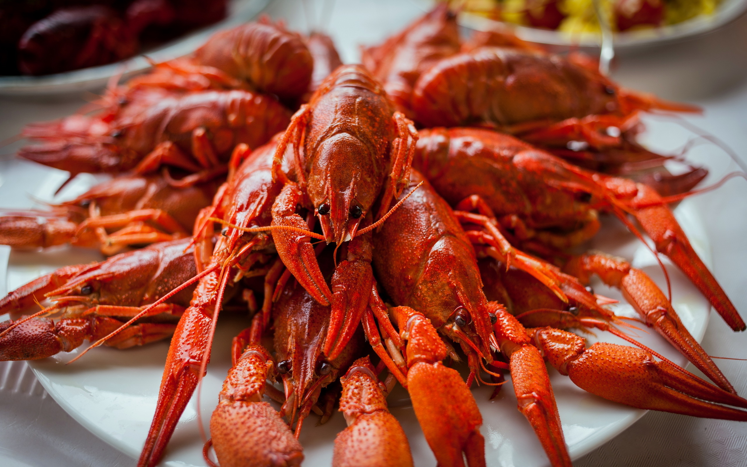 Фон рабочего стола где видно раки, морской деликатес, еда, Crayfish, sea  delicacy, food