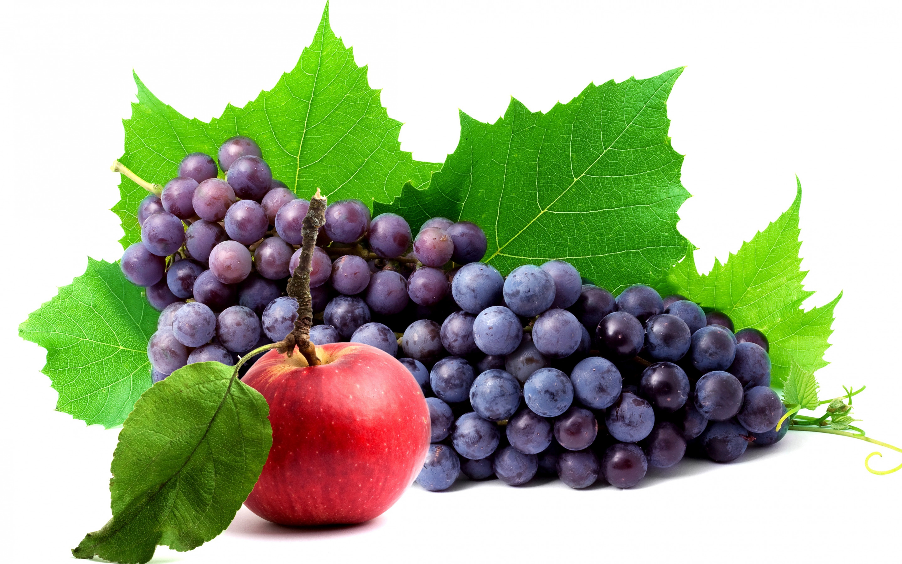 blue grape, bunch, apple, fruit, berry, still life, white background, синий виноград, гроздь, яблоко, фрукт, ягода, натюрморт, белый фон
