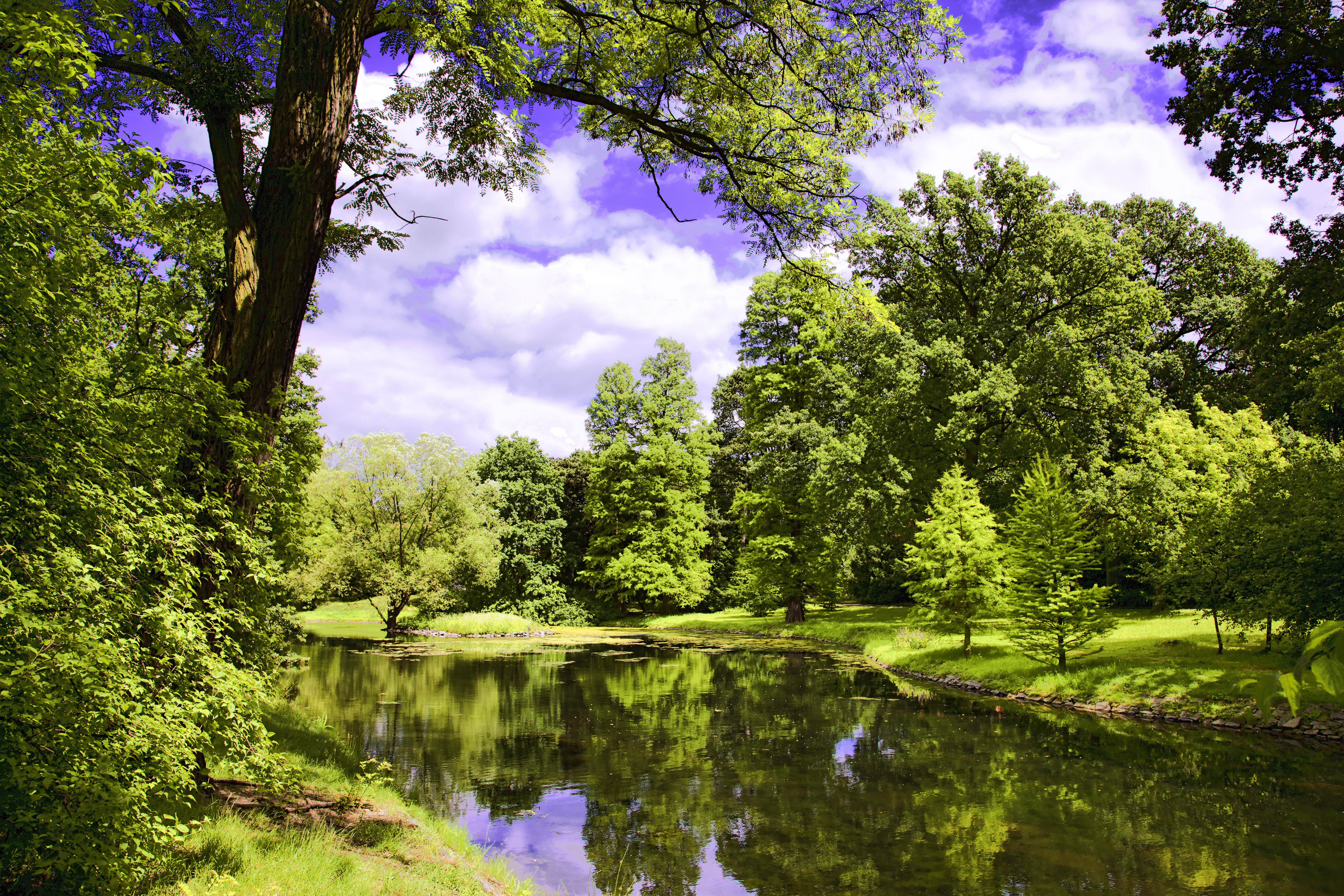 Фото бесплатно зеленые листья, река, природа летом, отражение в воде, 9к