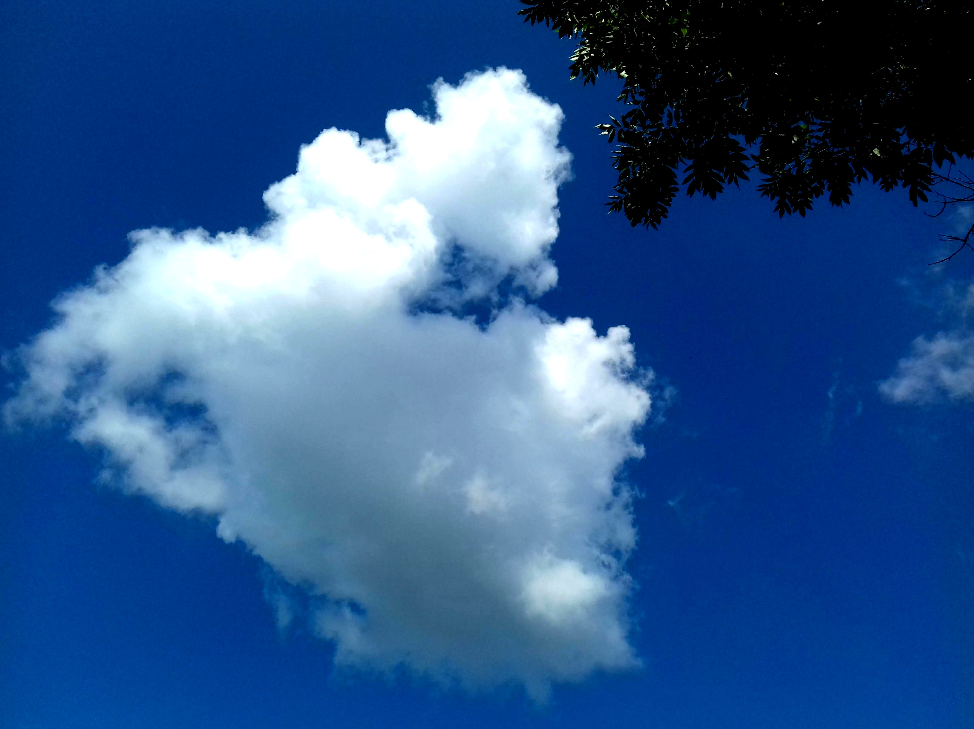 blue sky, cloud, nature, height, голубое небо, облако, природа, высота, 3260х2440