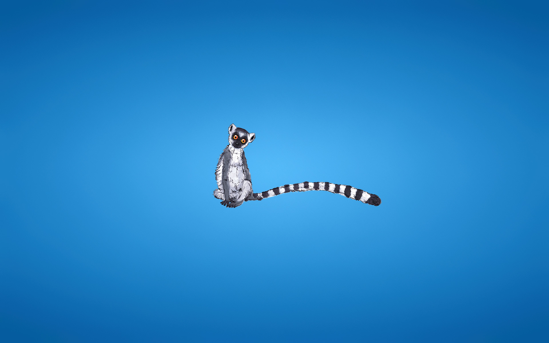 лемур, полосатый хвост, минимализм, голубой фон, Lemur, striped tail, minimalism, blue background
