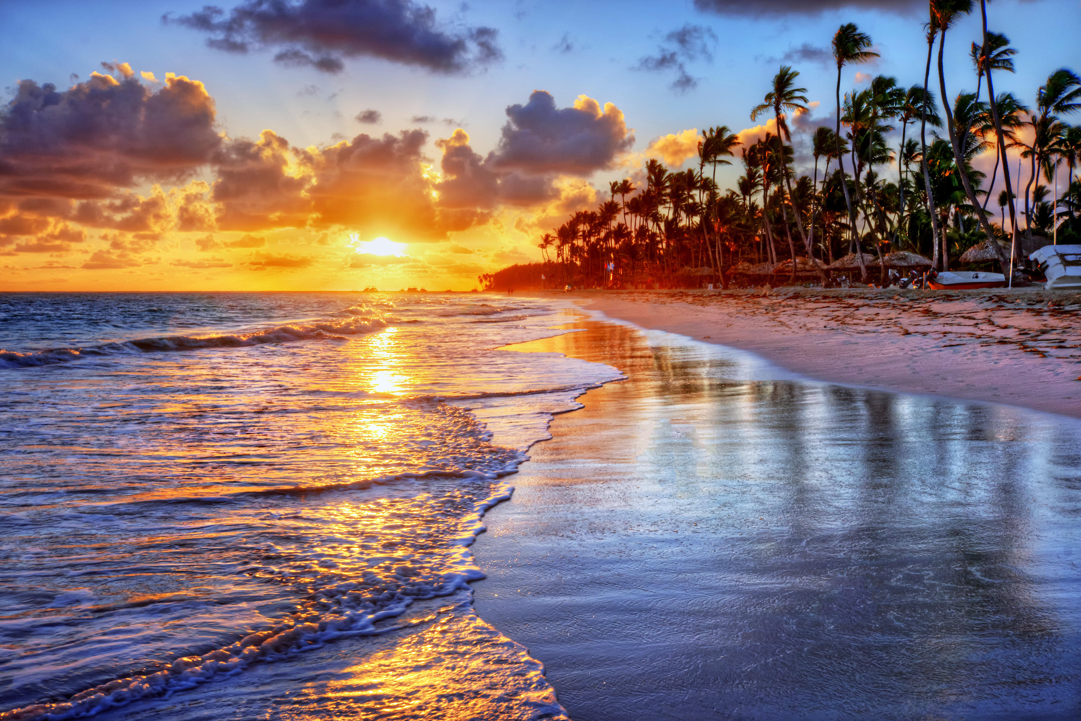 Фото бесплатно закат, пальмы, пляж, песок, отлив, море