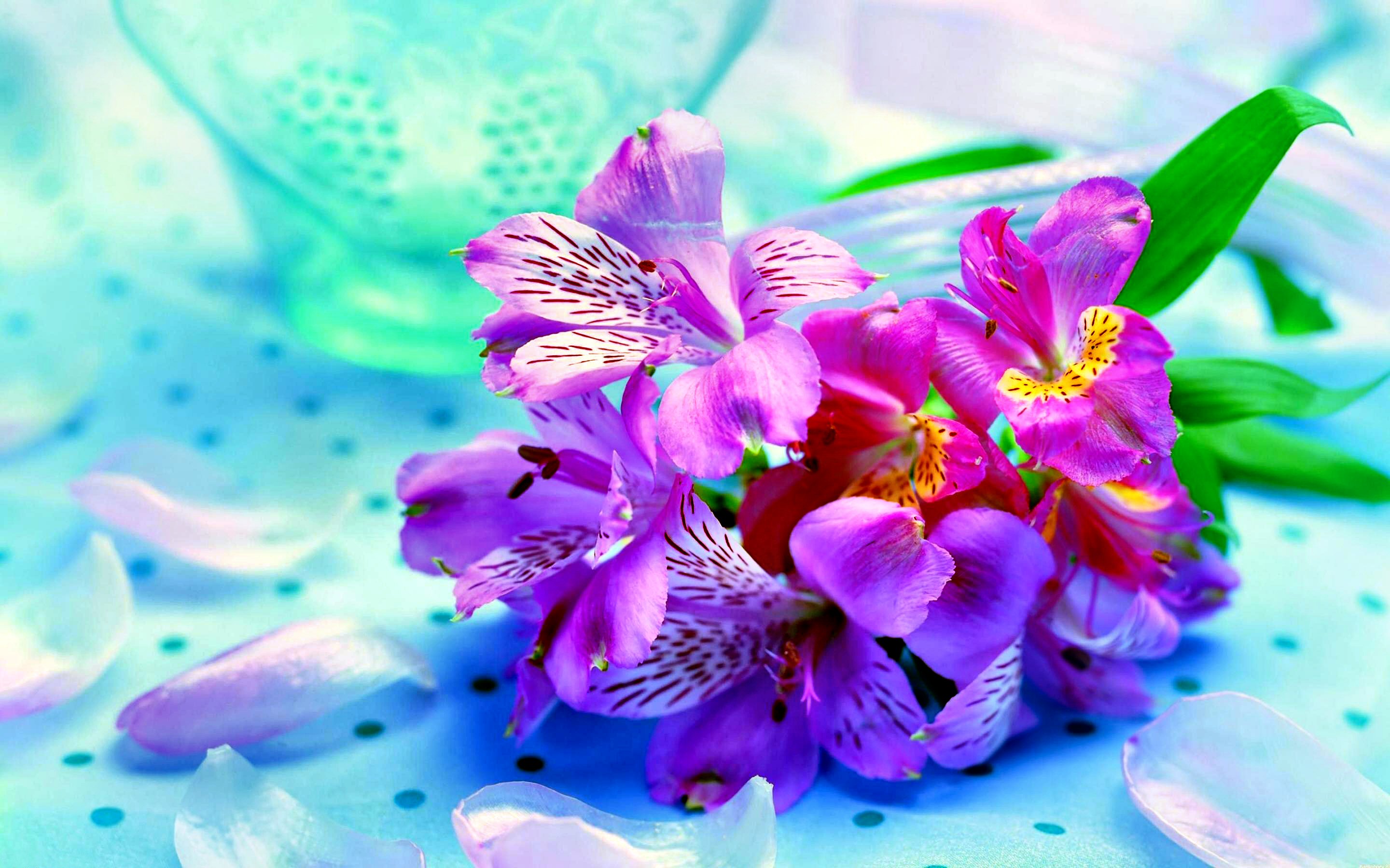 ирисы фиолетовые, цветы, букет, красивые обои, irises purple, flowers, bouquet, beautiful wallpaper