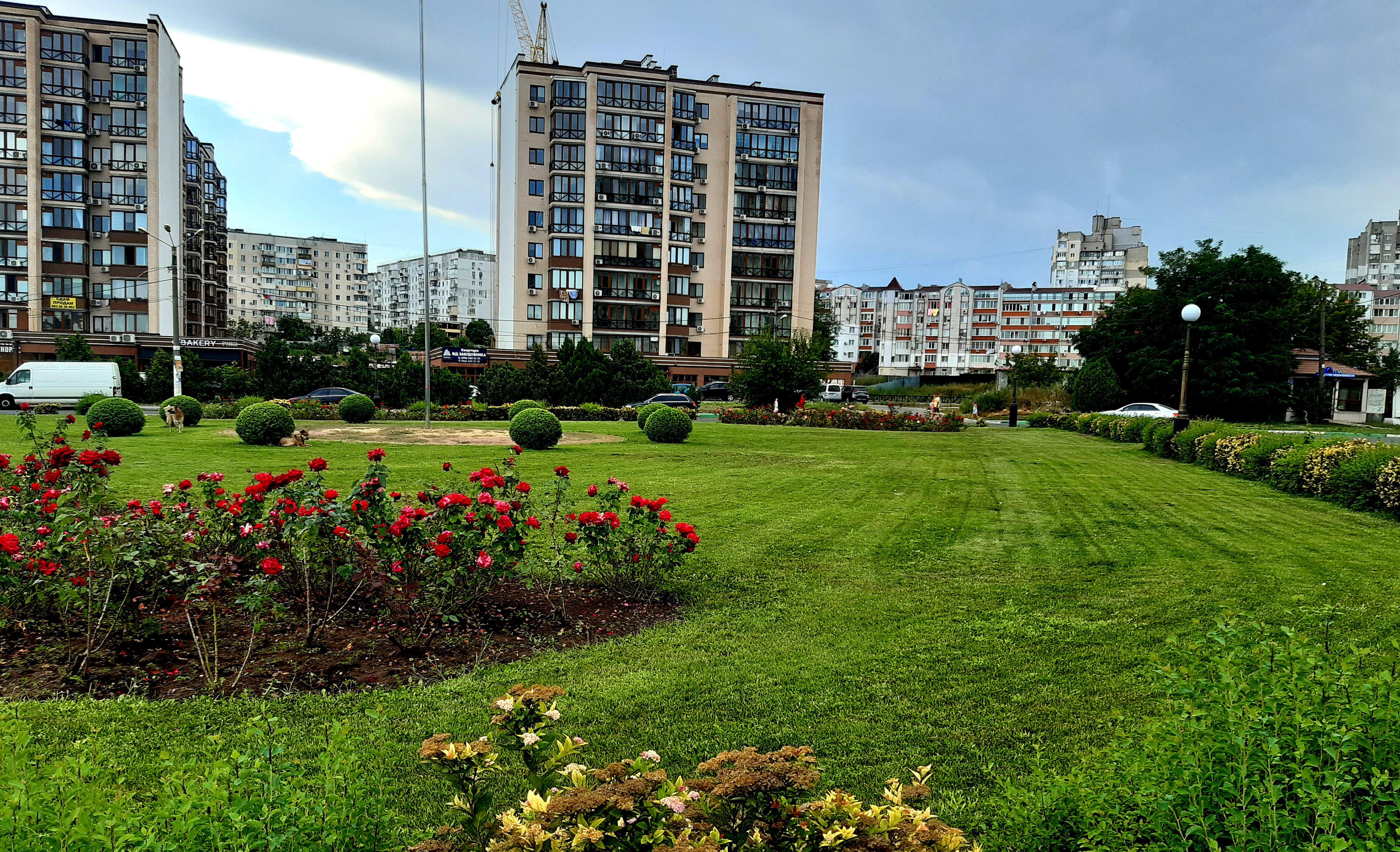 город, улица, цветы, клуба, зелёная трава, жилой квартал, многоэтажки