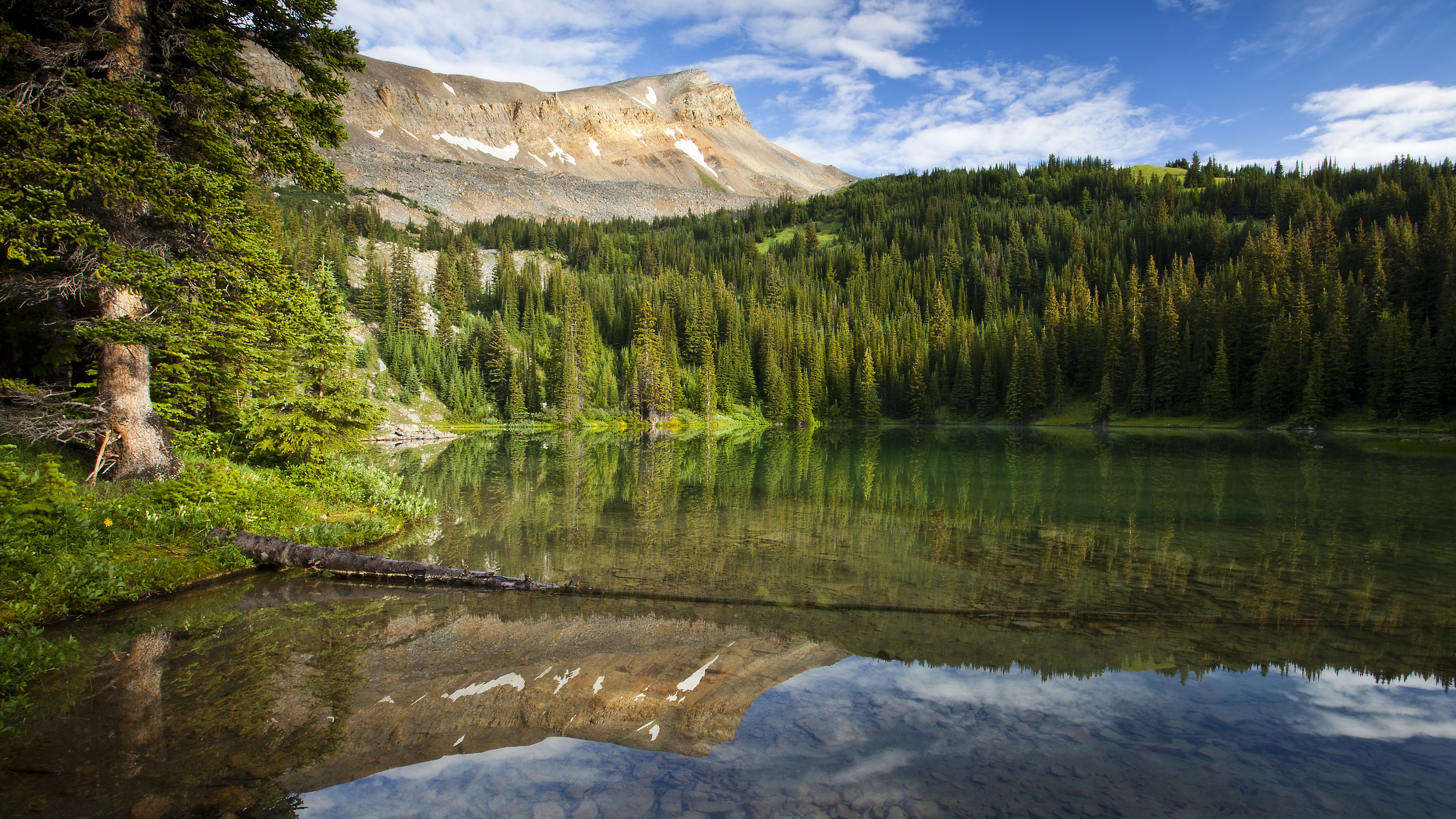 7680x4320, горы, пейзаж, хвойный лес, озеро, 8К обои, природа, отражение в воде, landscape, coniferous forest, lake, 8K wallpaper, nature, reflection in water